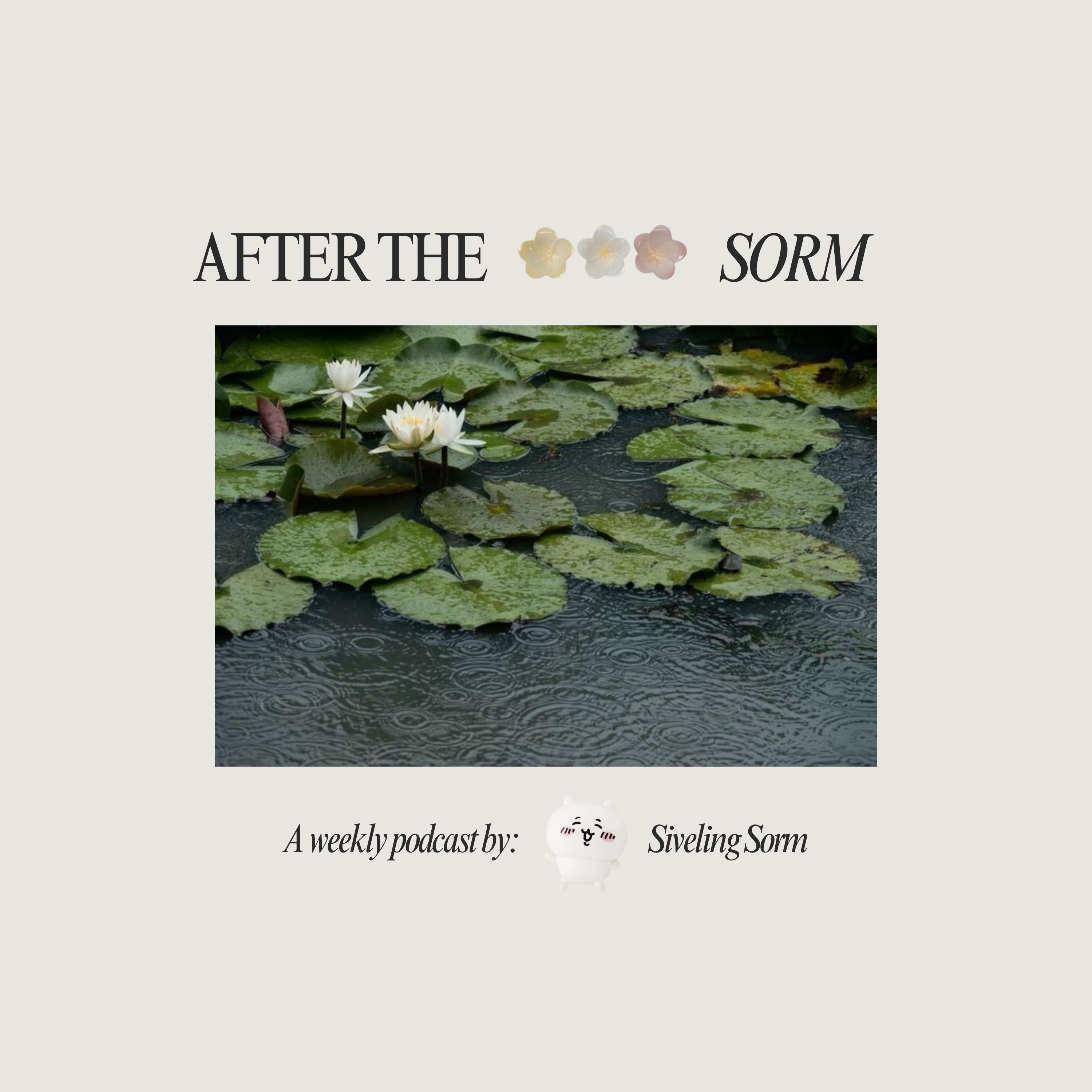 After the Sorm