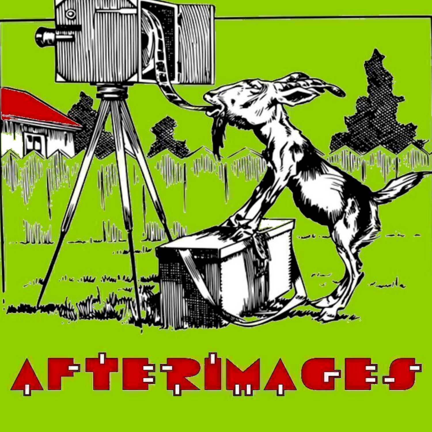 Afterimages