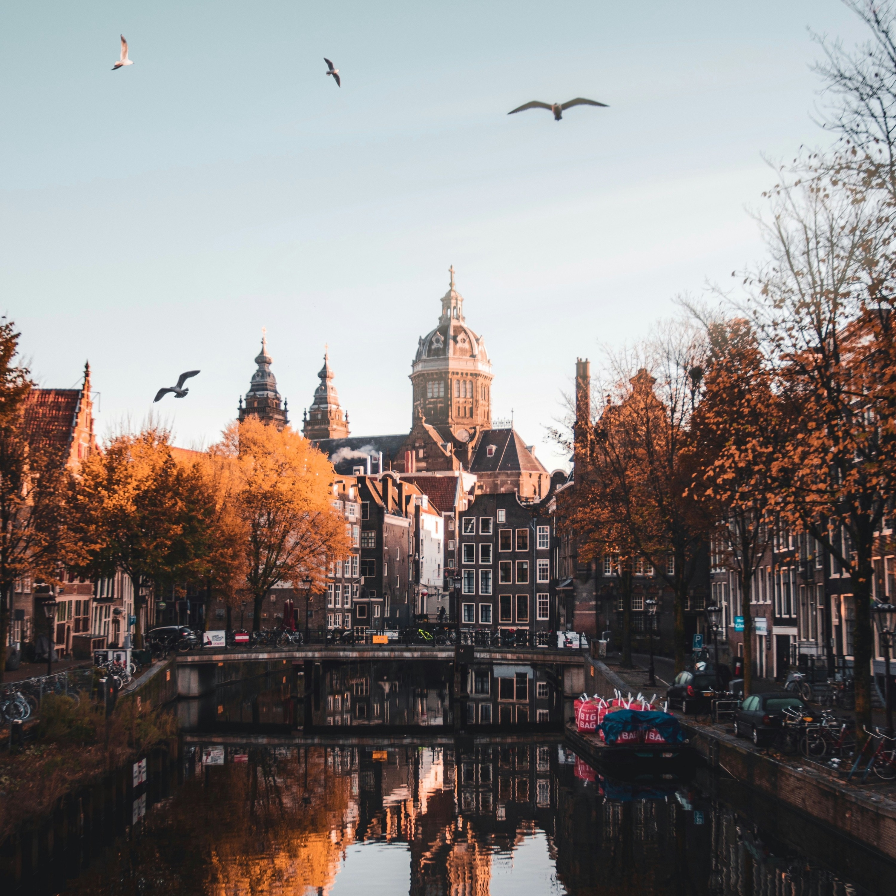 Amsterdam episode artwork