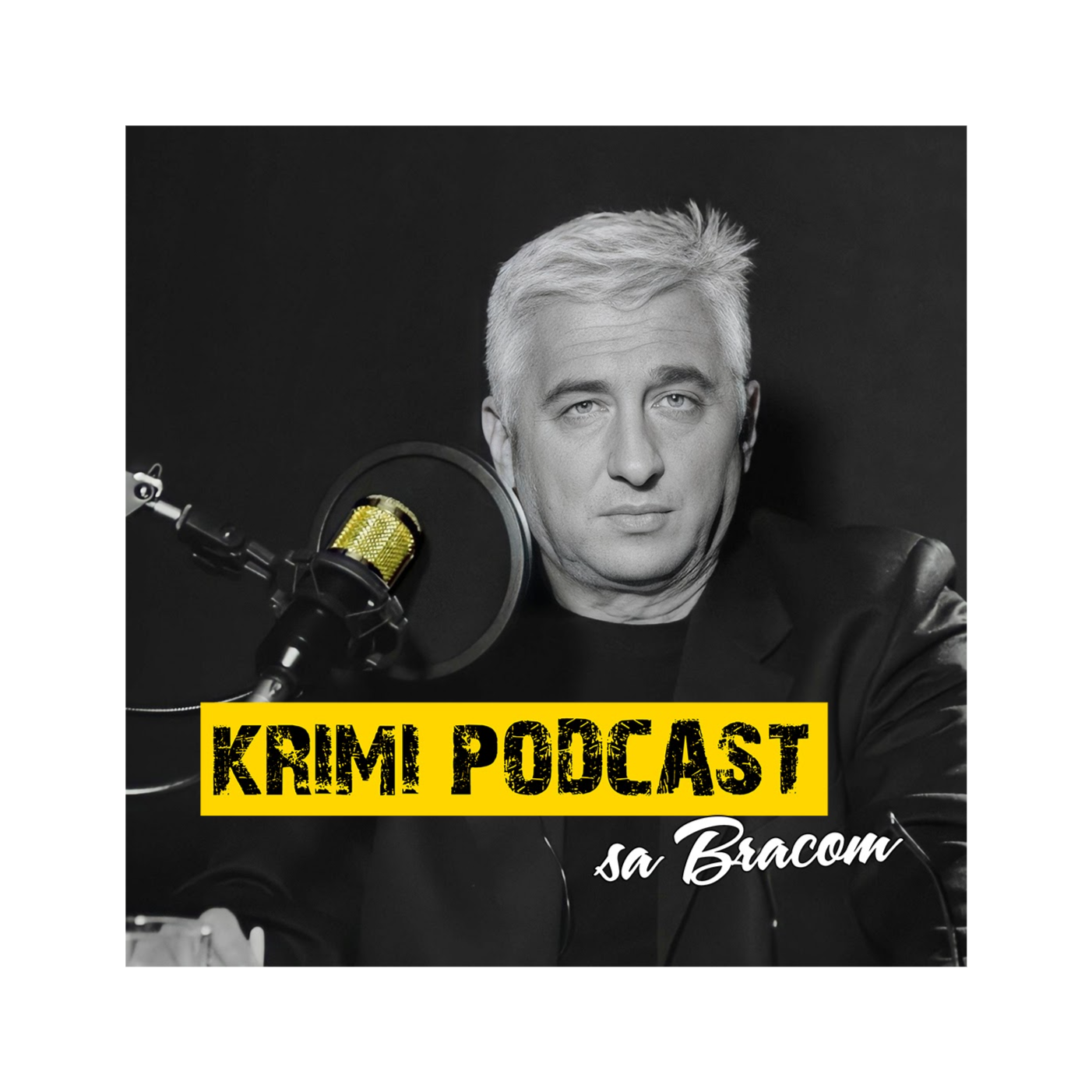KRIMI PODCAST sa Bracom podcast artwork
