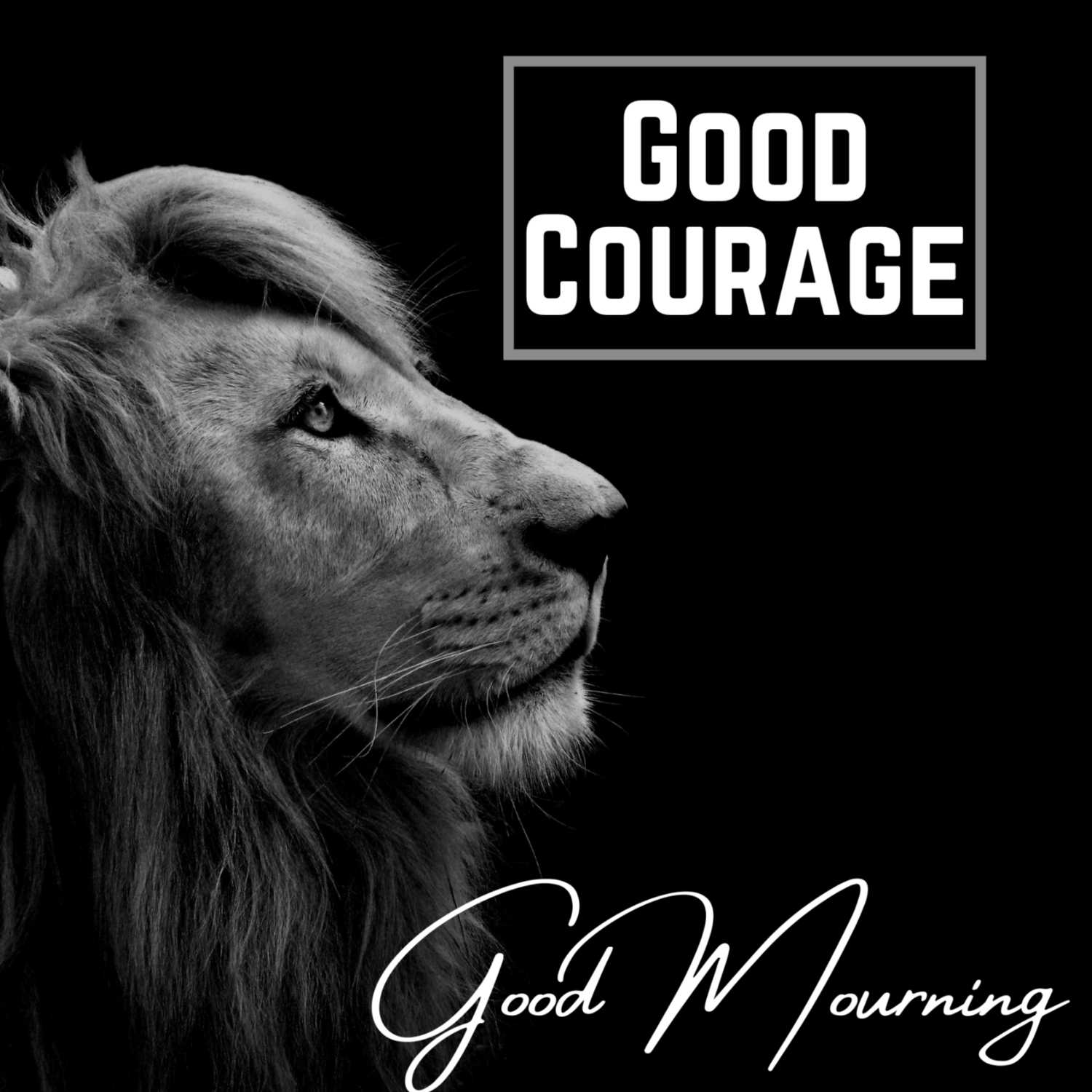 Good Courage Good Courage