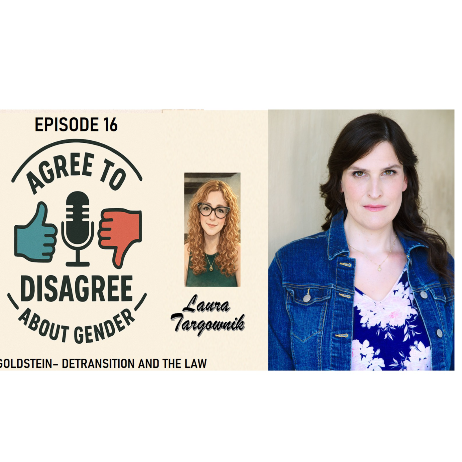 Episode 16 - Julie Rei Goldstein - Detransitioners and The Law episode artwork
