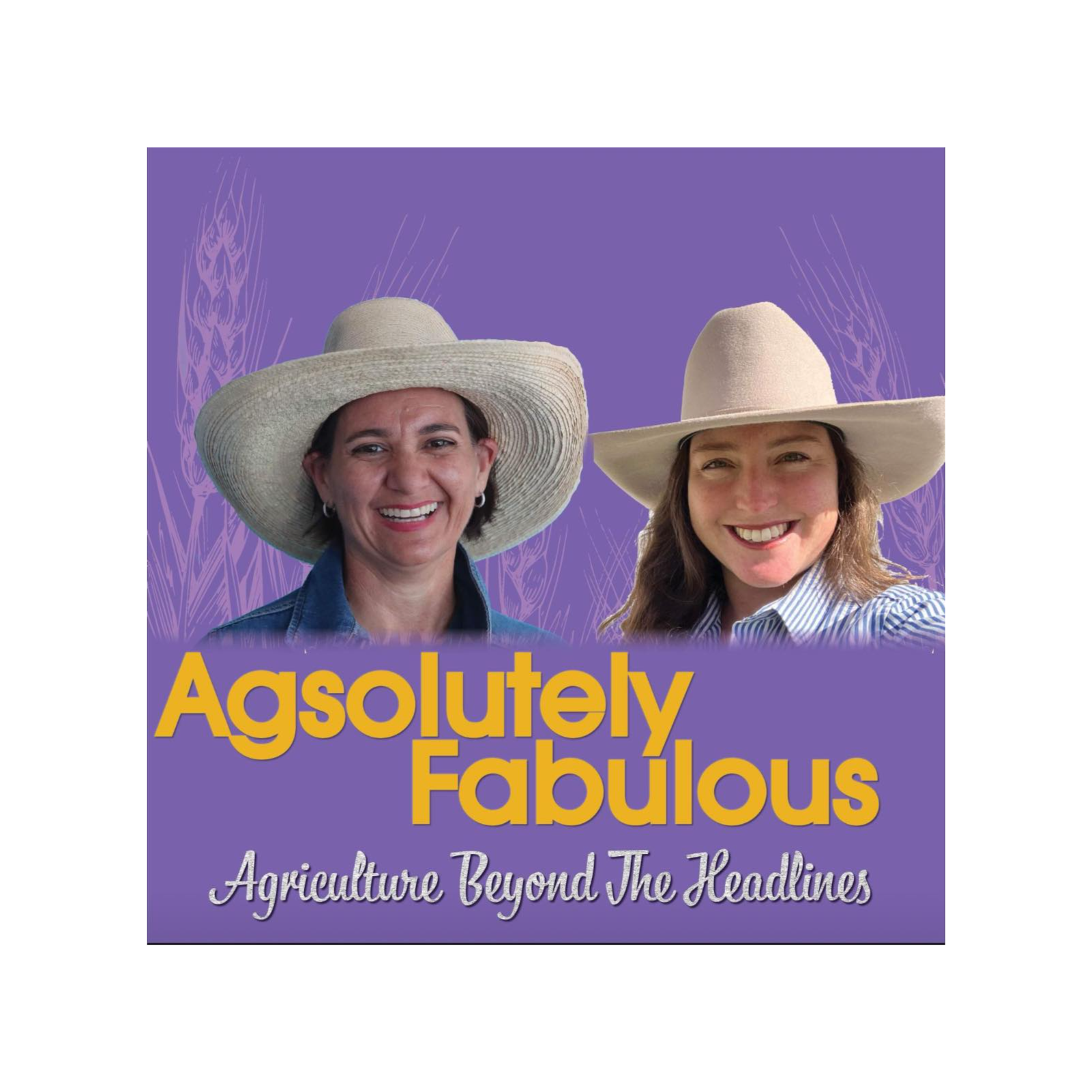 57# Migraine Update, Farm Wedding Advice, Forgotten Women in Succession + Win Toni’s Rom-Com
