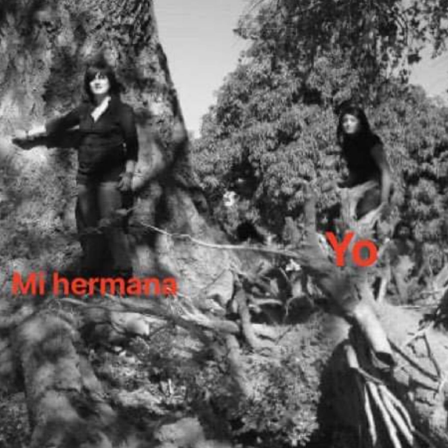 Como Dice?