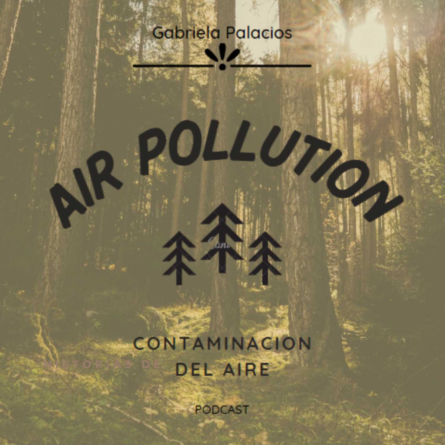 Contaminacion del aire