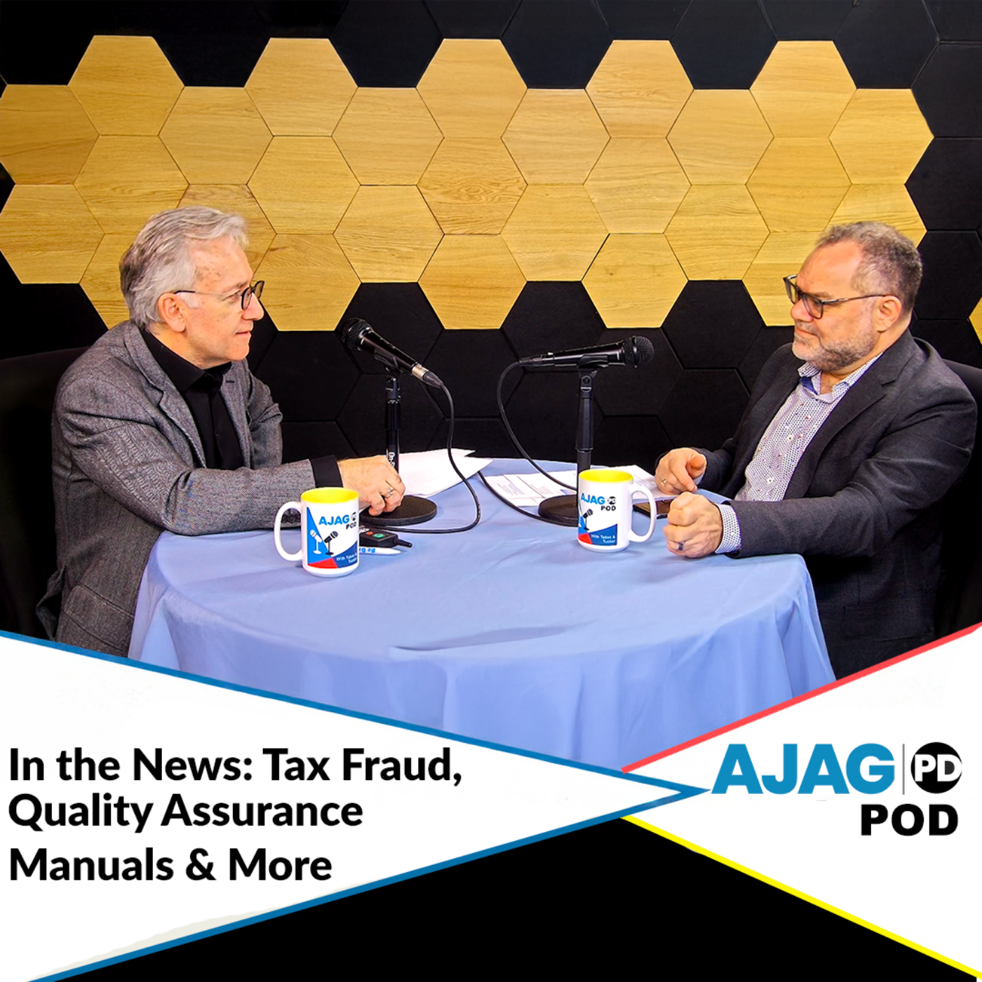 In the News: Tax Fraud, Quality Assurance Manuals & More 