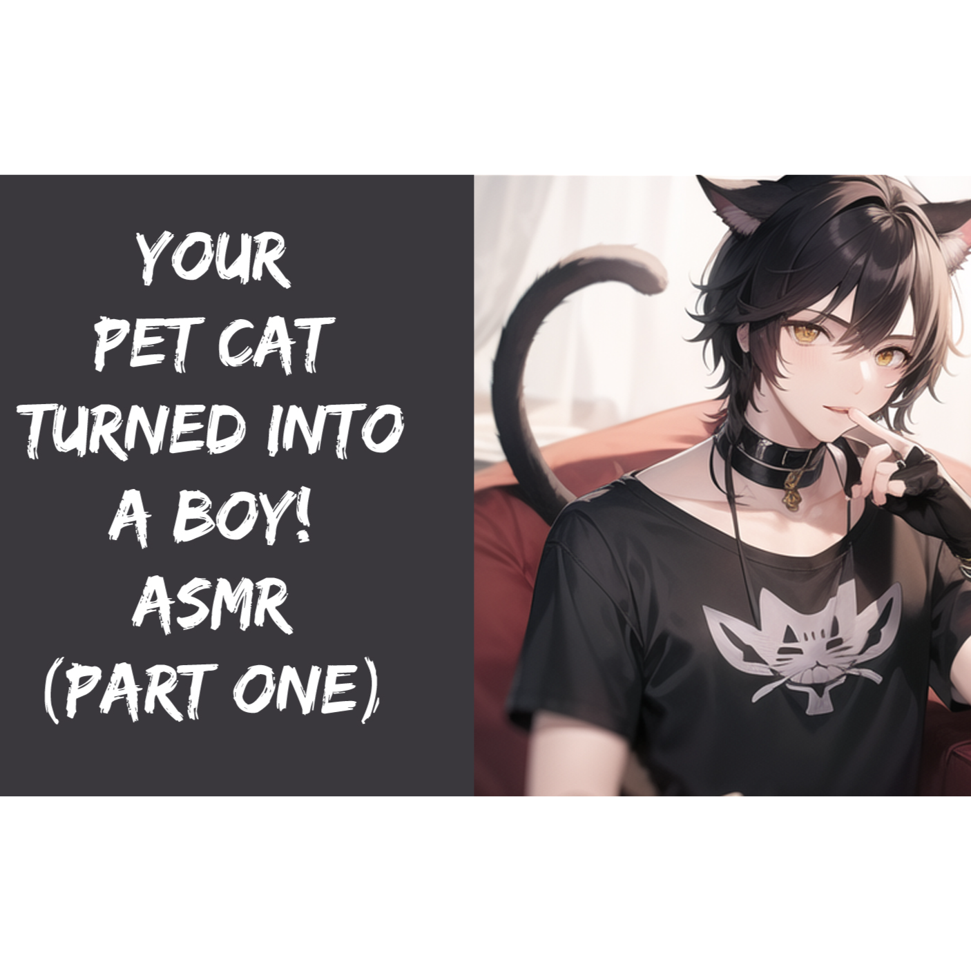Akihiko Kai VA