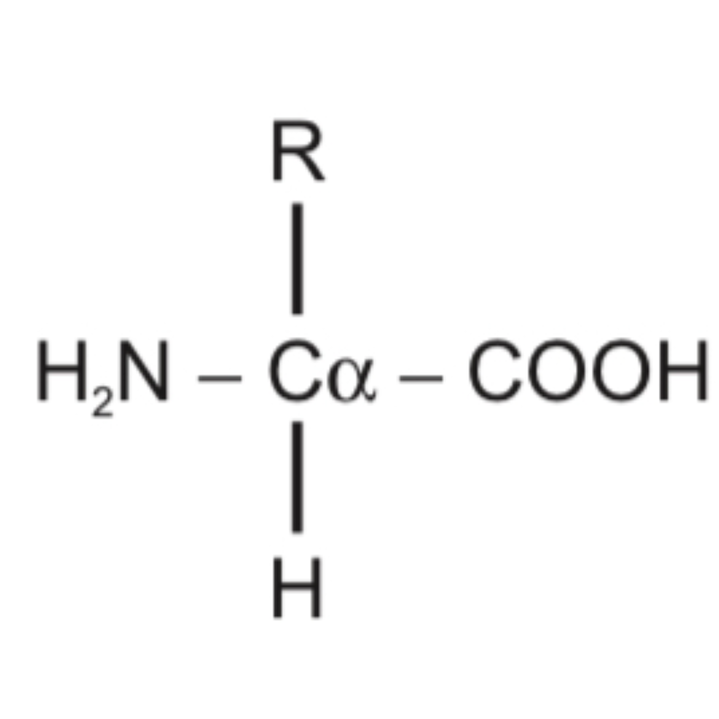 Alanina Valina Marcos y Mau