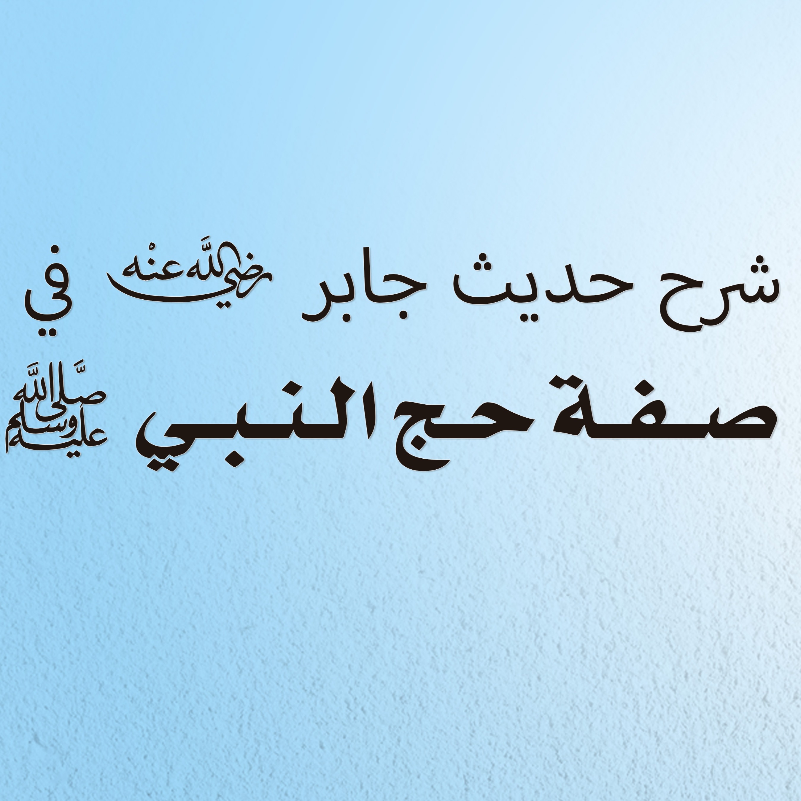 شرح حديث جابر رضي الله عنه في صفة حج النبي صلى الله عليه وسلم