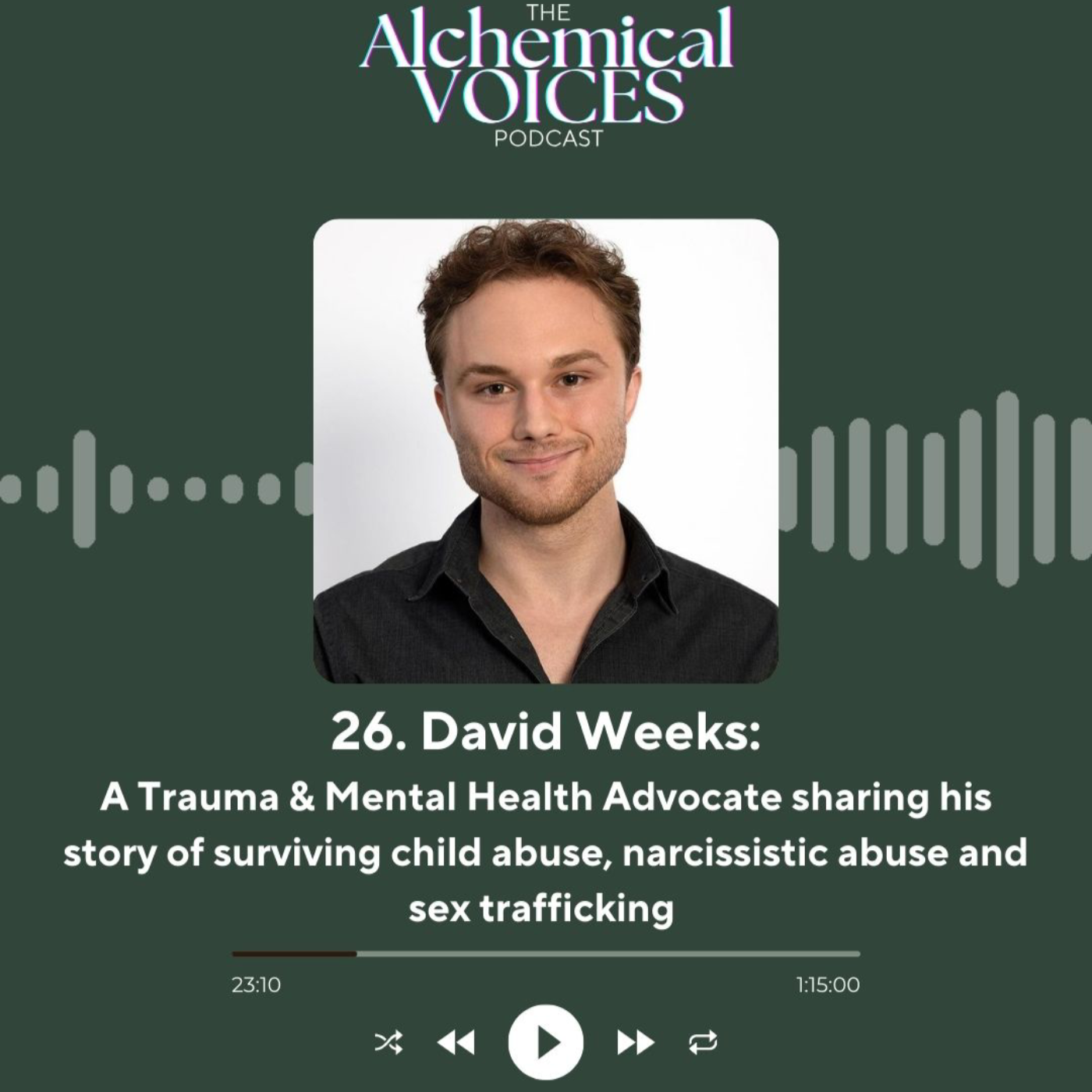 Alchemical VOICES