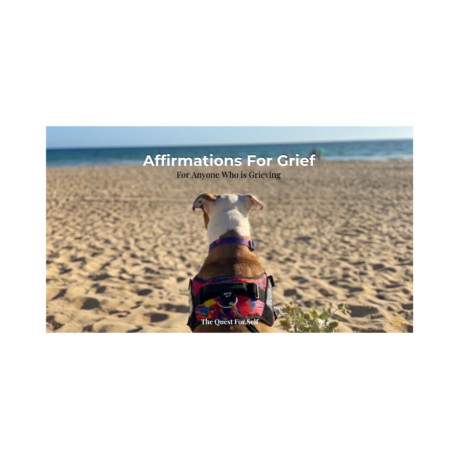 Affirmations for Grief | When You're Learning to Live Without Someone You Love episode artwork