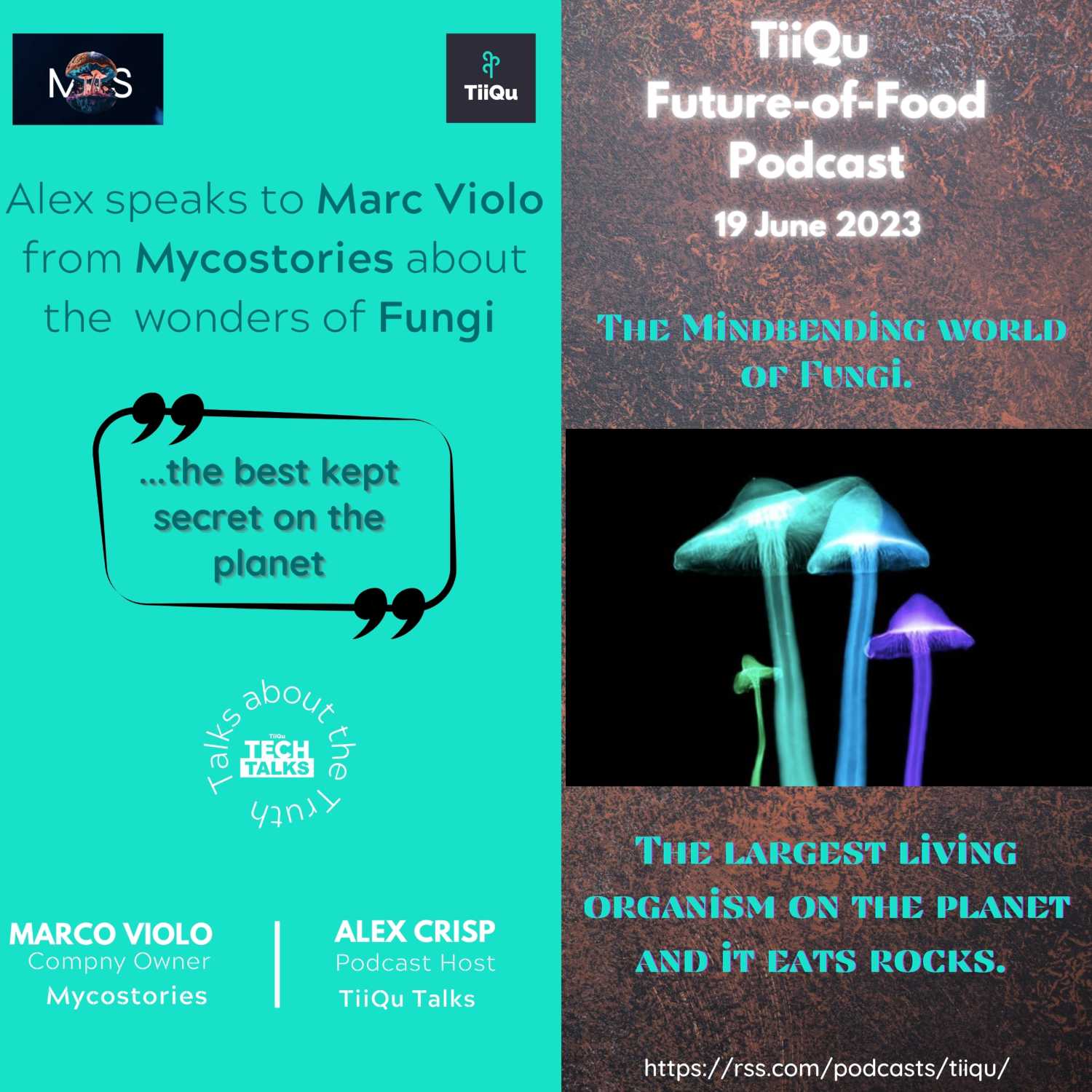 Future of Fungi with Marc Violo