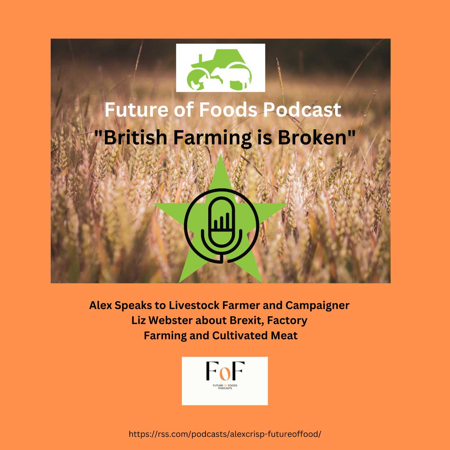 Brexit, subsidies, and cultivated meat - farmer and campaigner - Liz Webster 