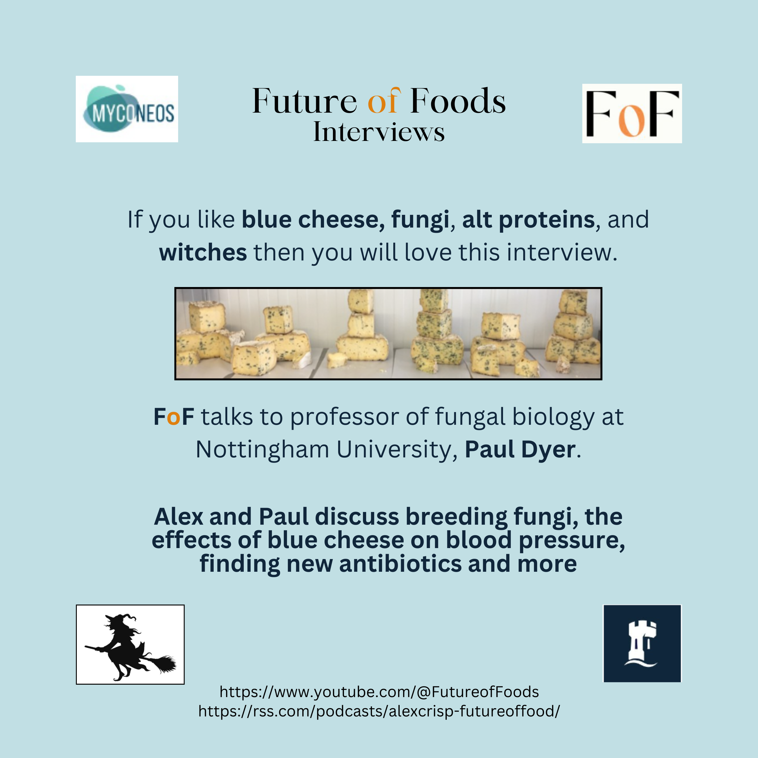 Why blue cheese is good for you - fungi power - Interview with Prof Paul Dyer