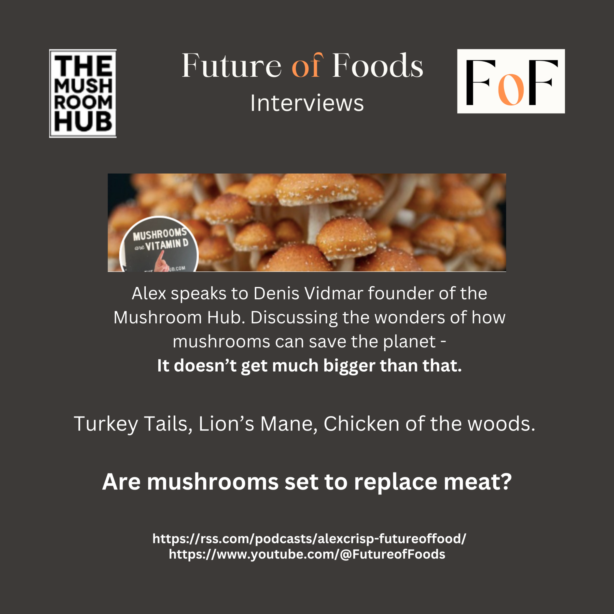 Can mushrooms save the world - Denis Vidmar - Mushroom Hub