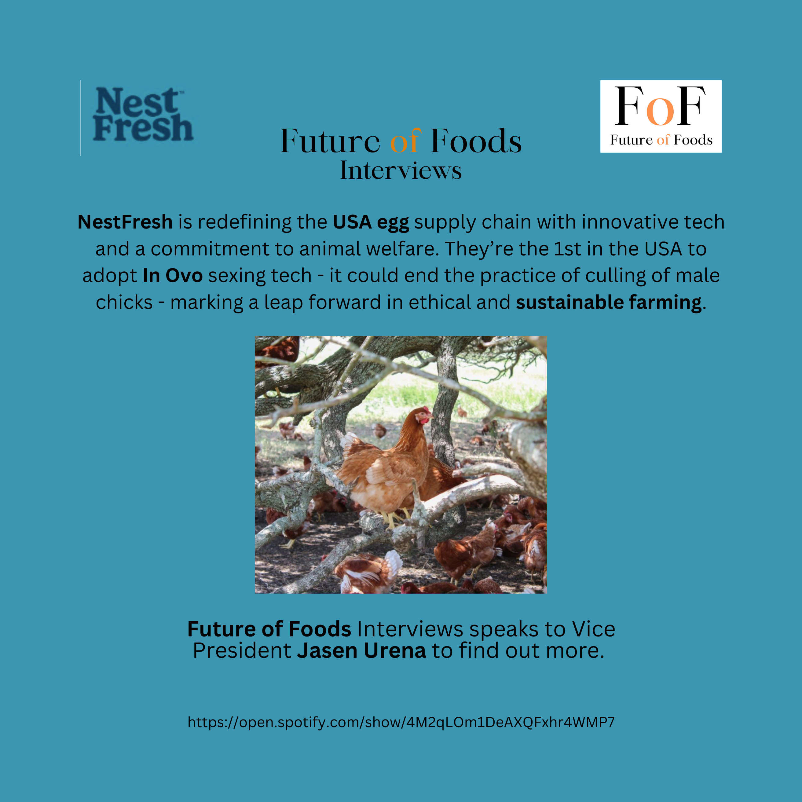 New Technology Ends Male Chick Culling - NestFresh