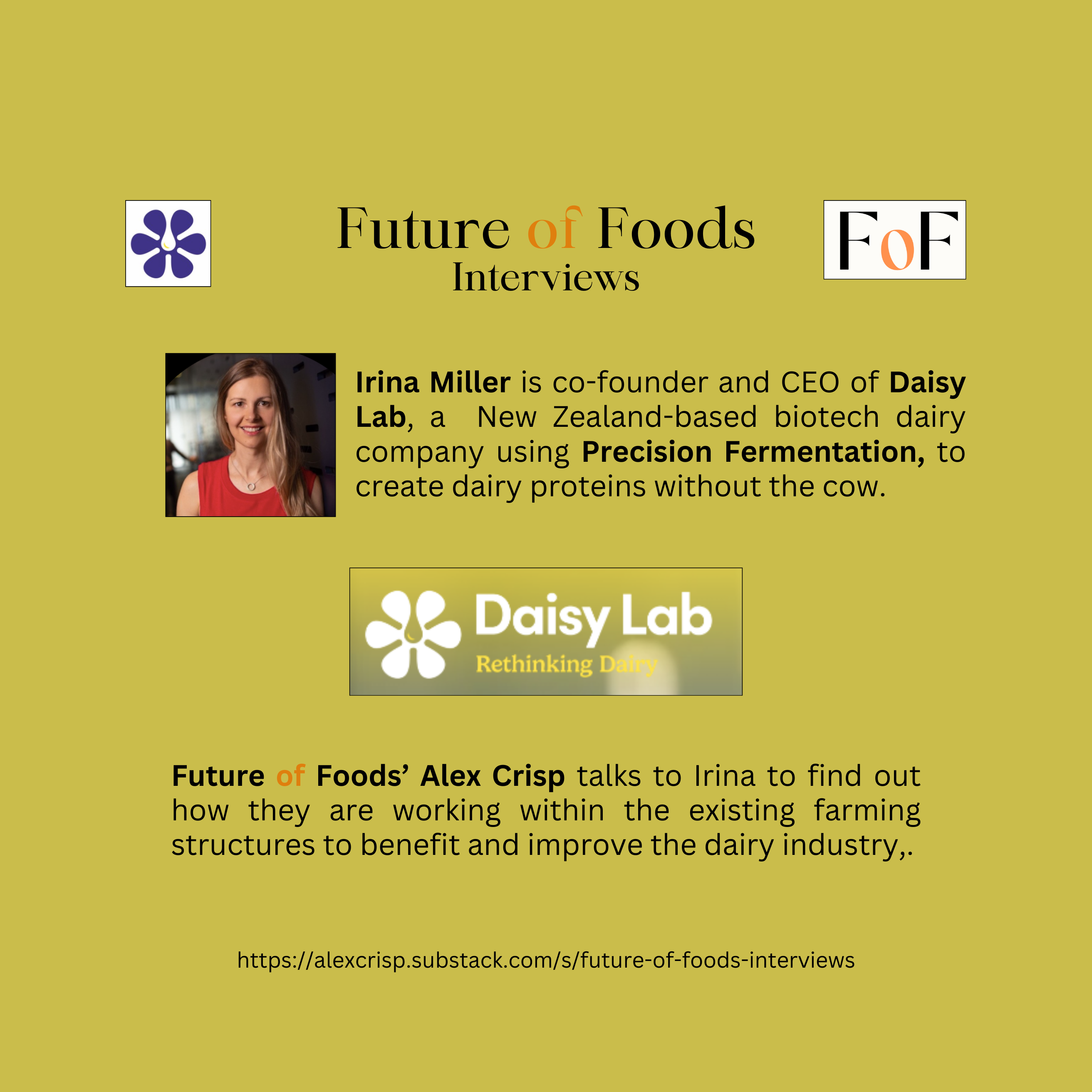 Making Dairy Proteins Without the Cow - Daisy Lab