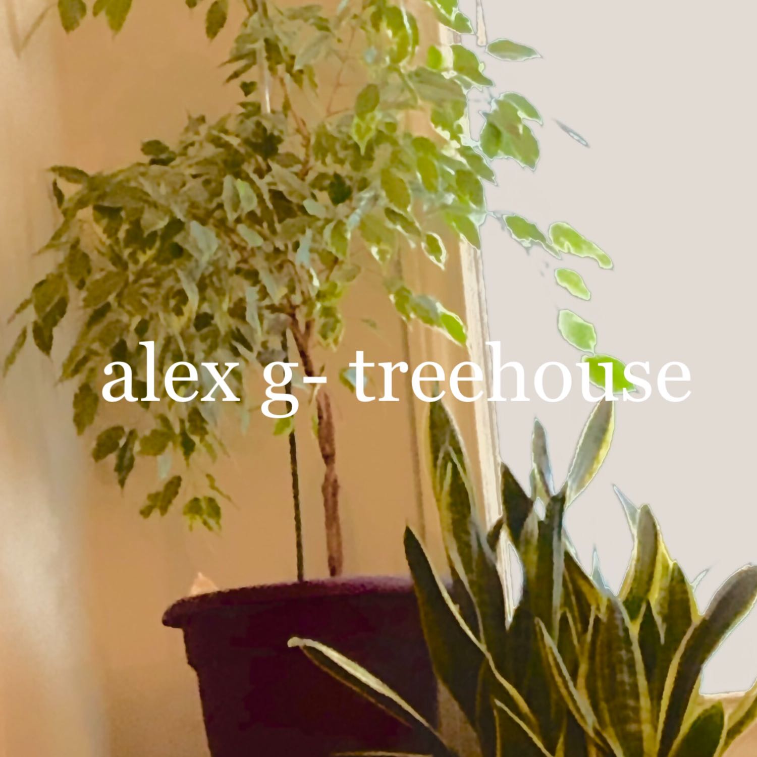 alex g- treehouse