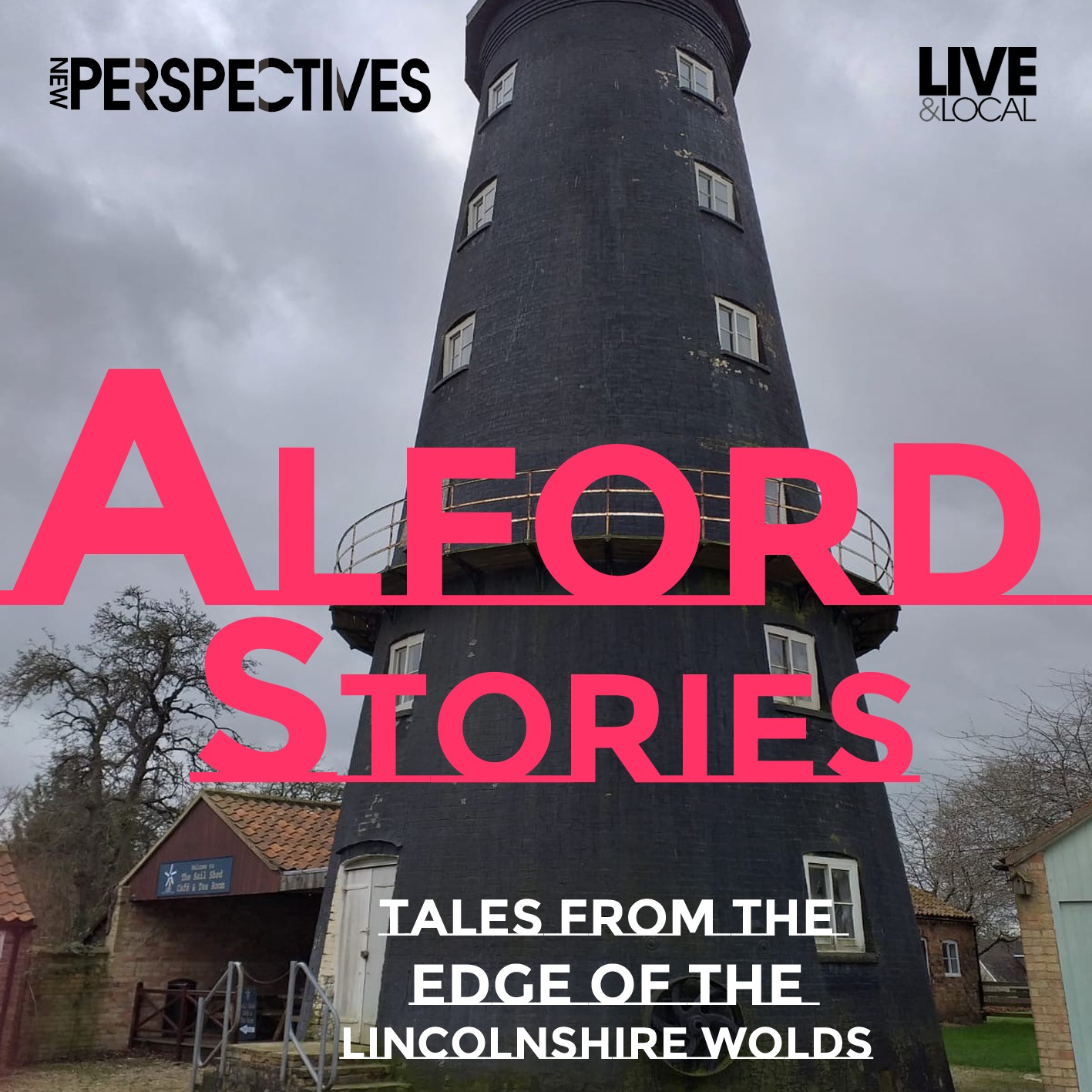 Episode 5: Arresting Alford episode artwork
