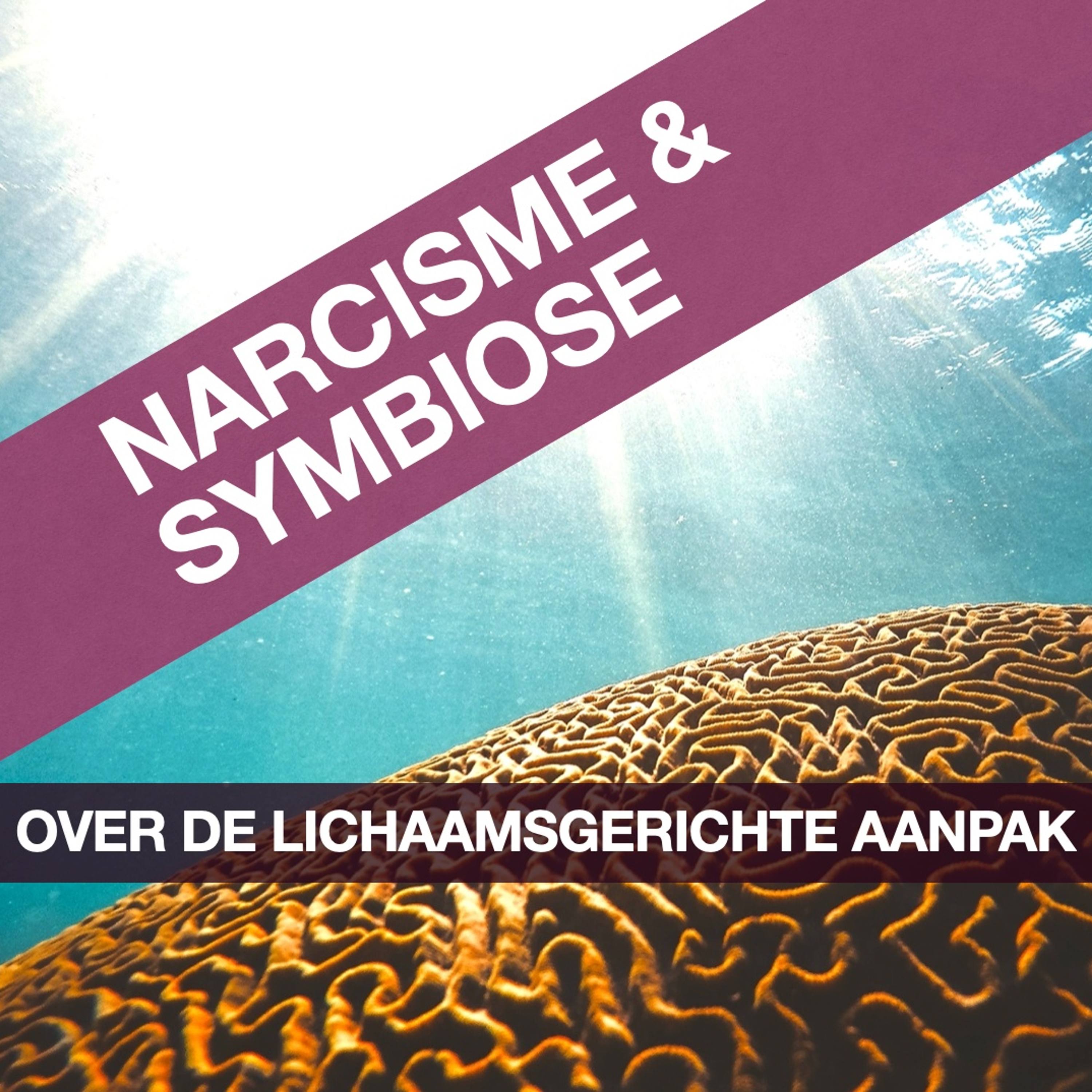 Update Je Zenuwstelsel