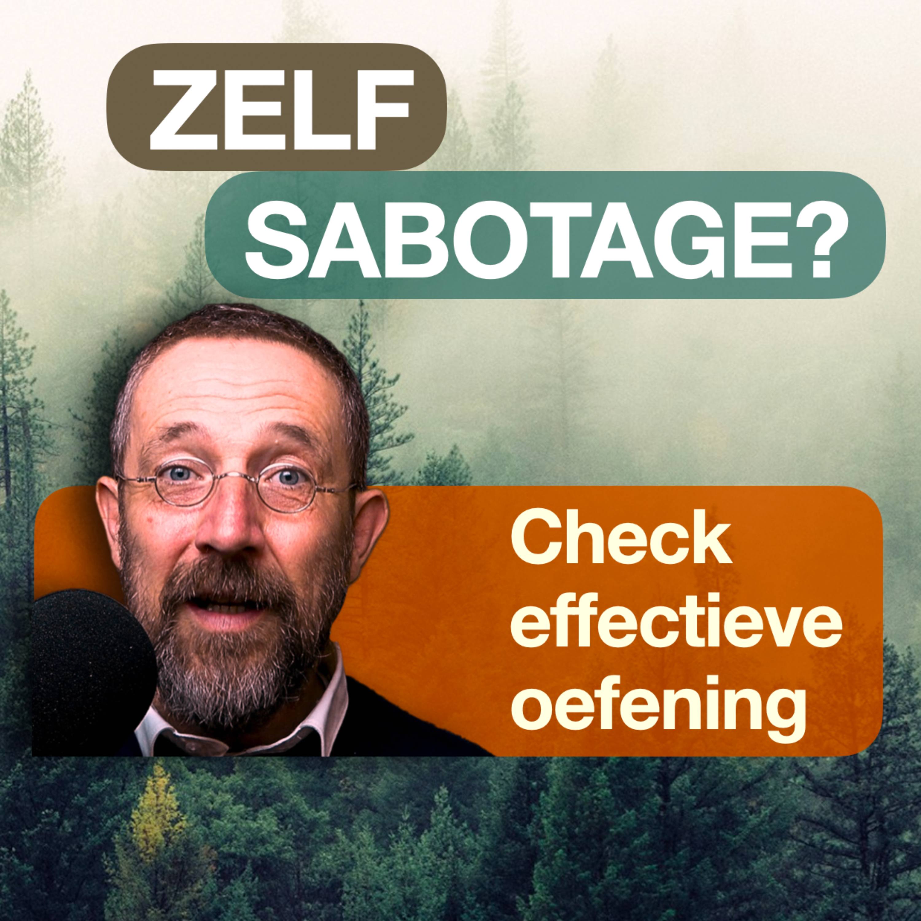 Update Je Zenuwstelsel