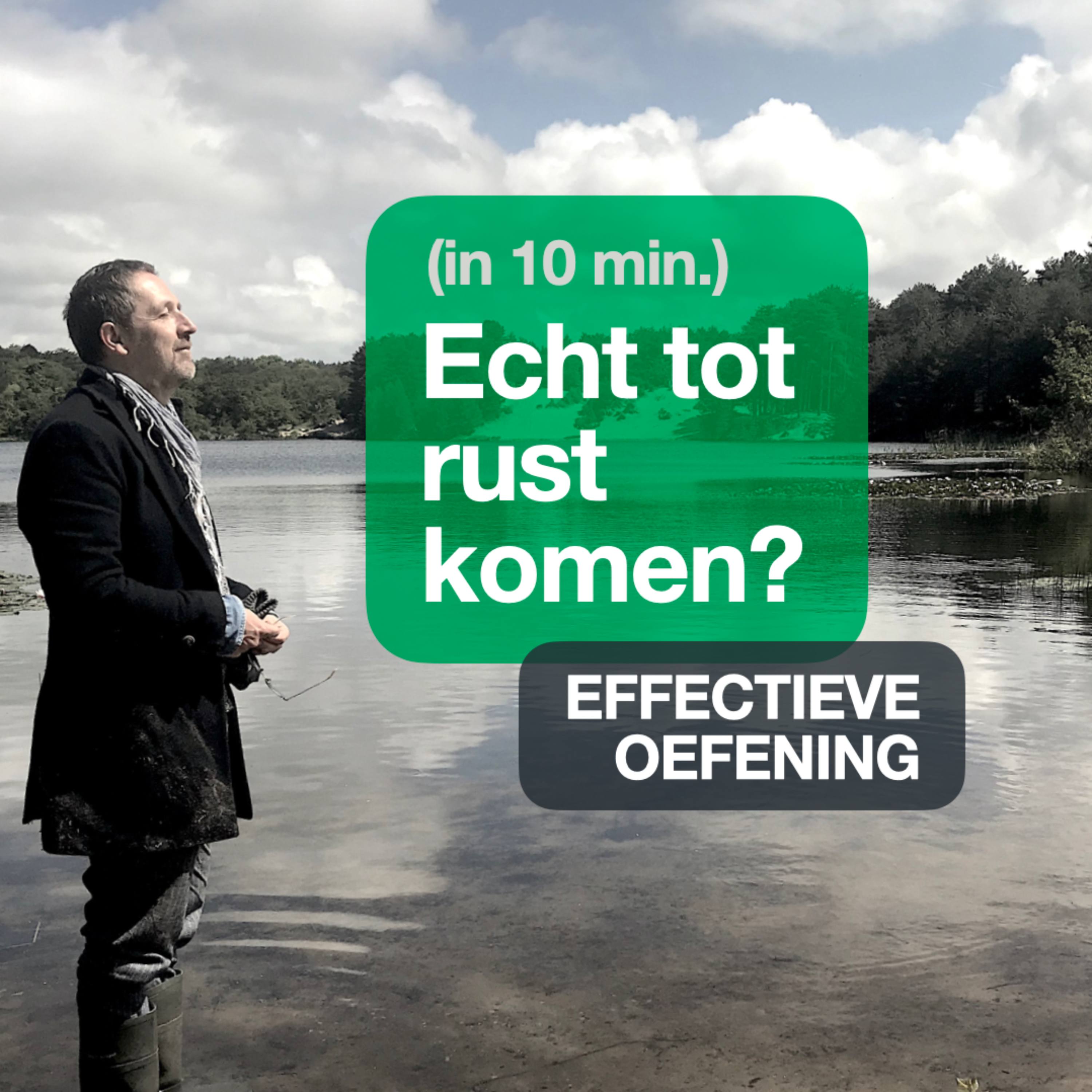 Update Je Zenuwstelsel