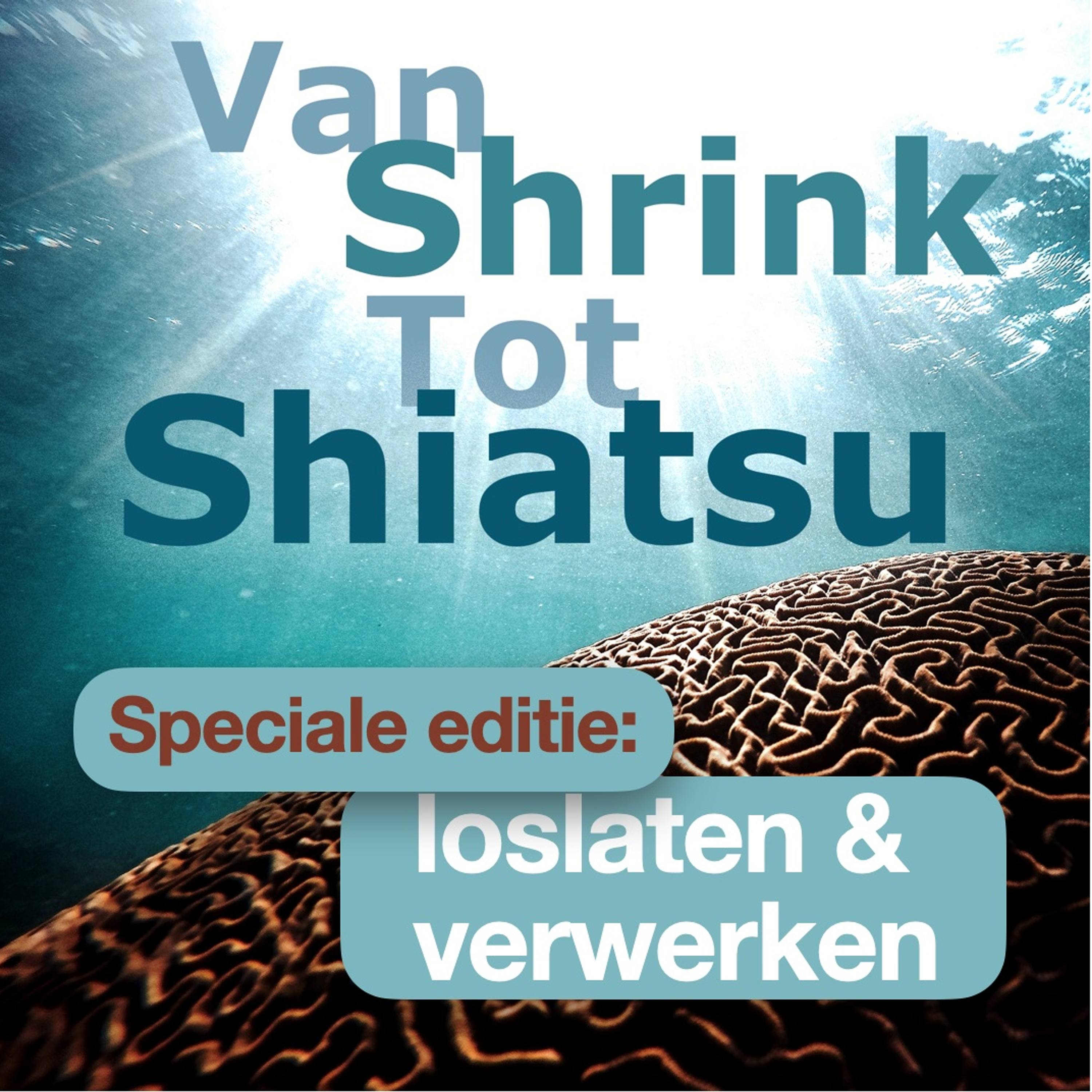 Update Je Zenuwstelsel