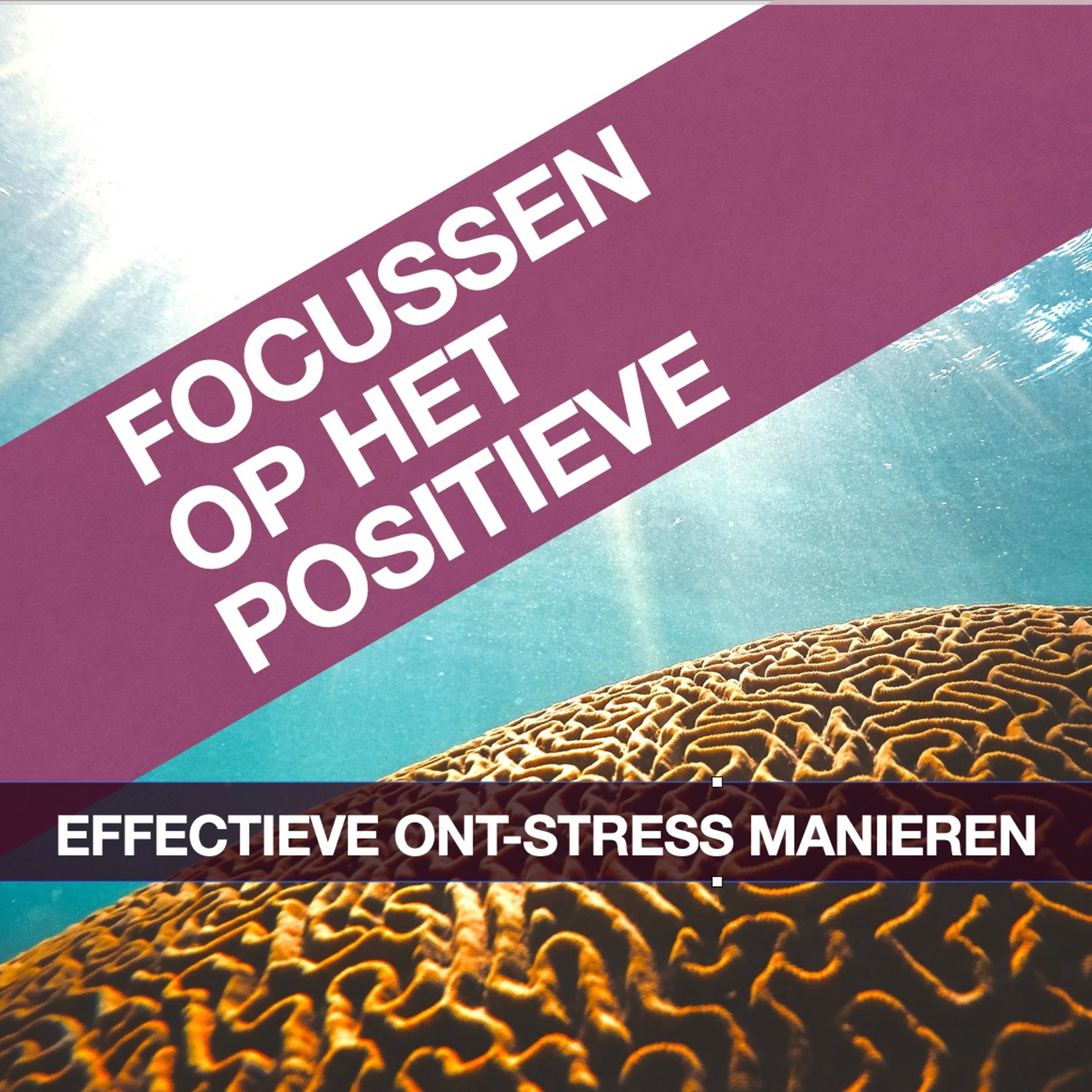 Update Je Zenuwstelsel