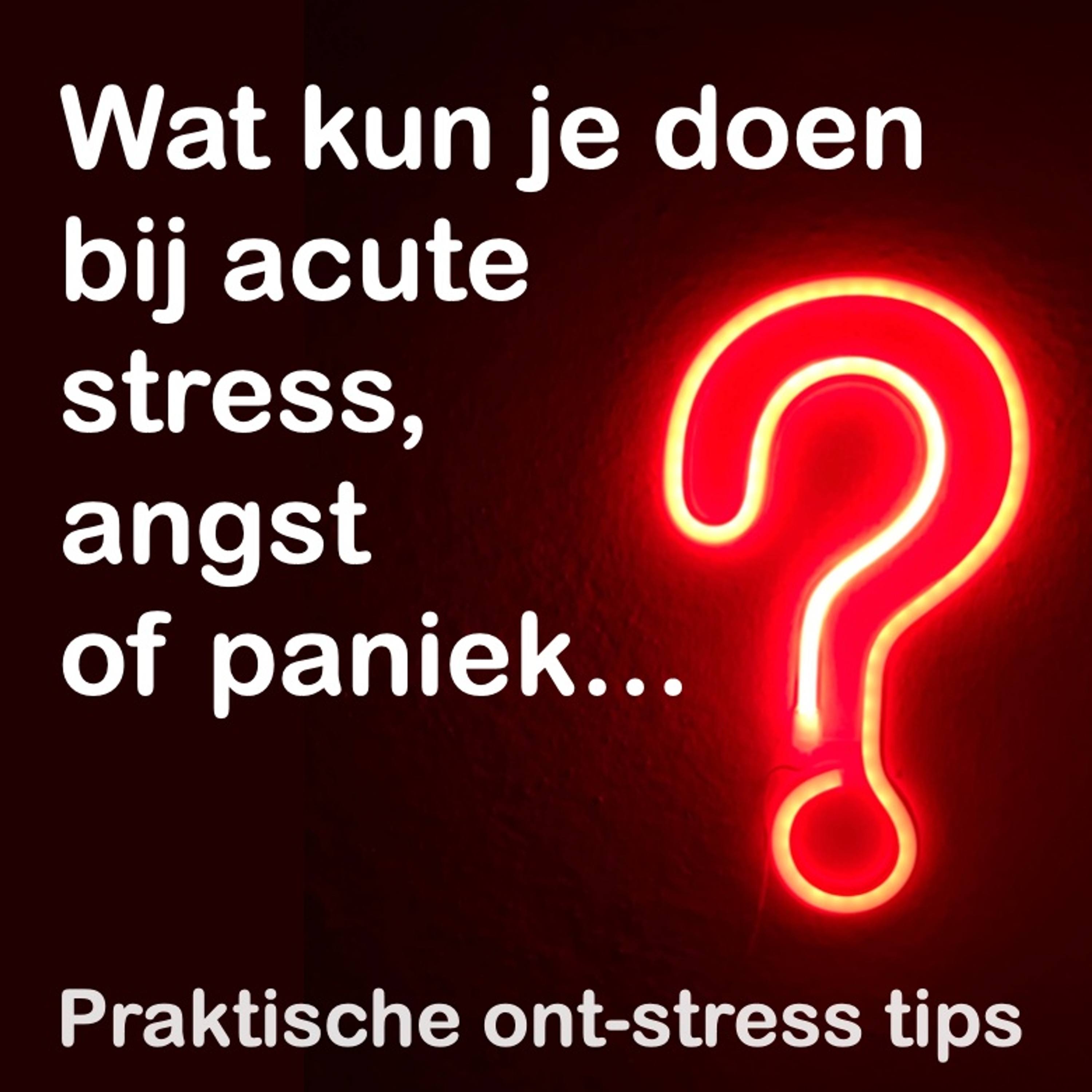 Update Je Zenuwstelsel