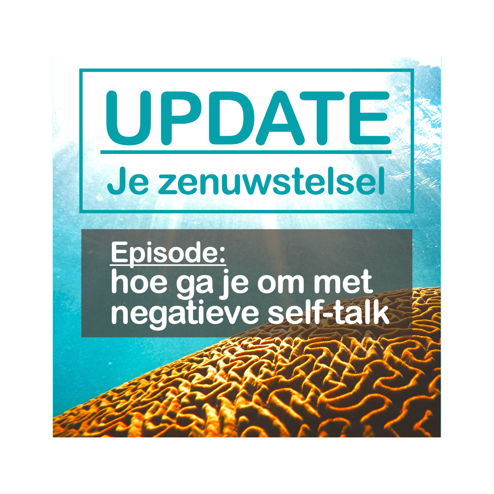 Update Je Zenuwstelsel