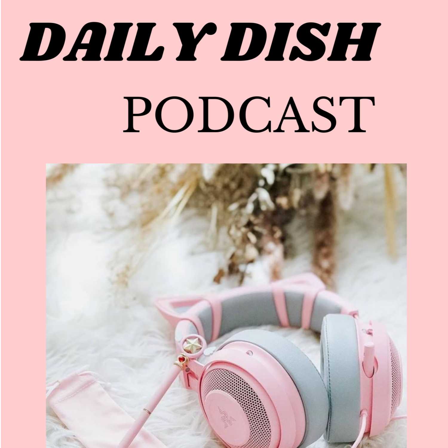 Daily Dish cover art