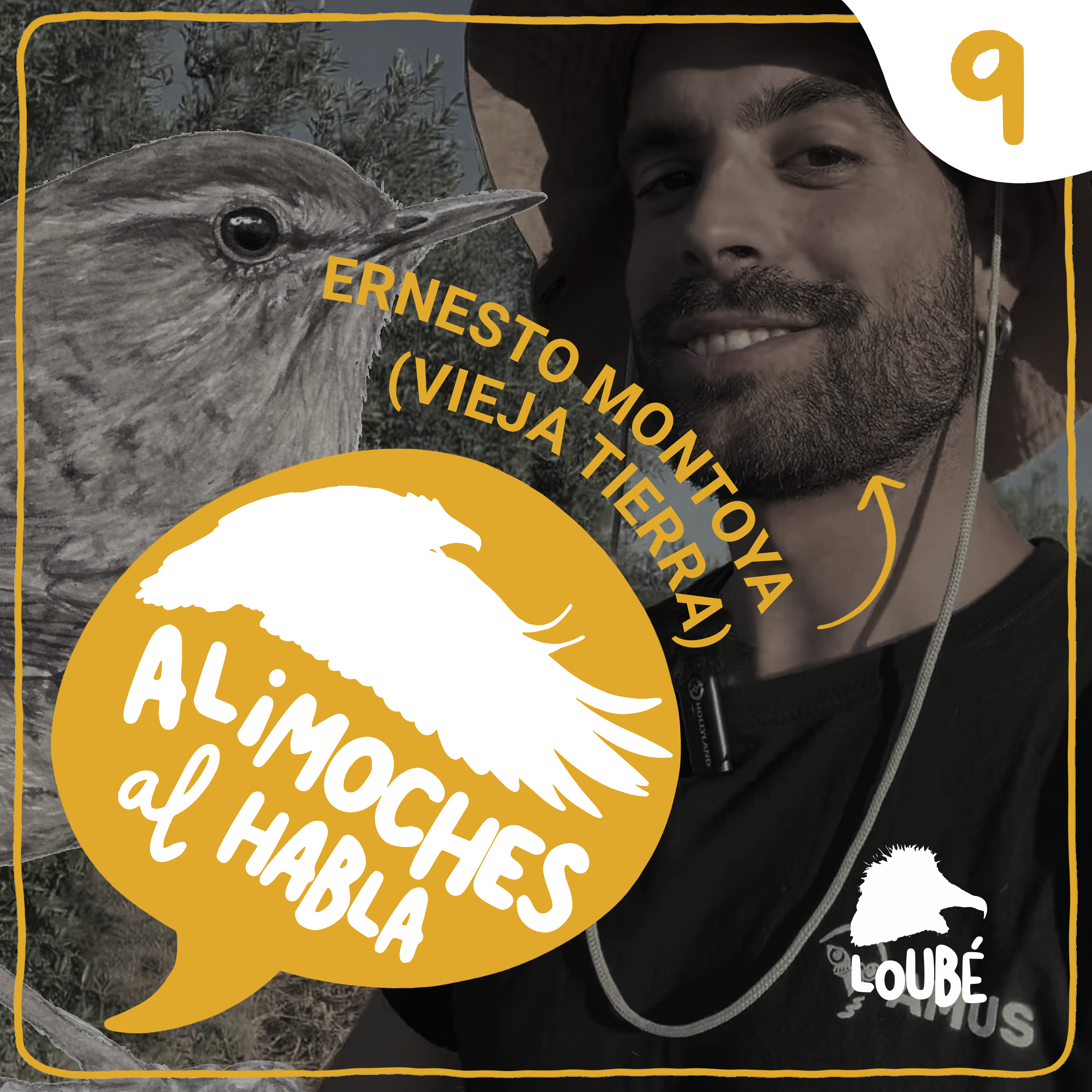 Alimoches al habla