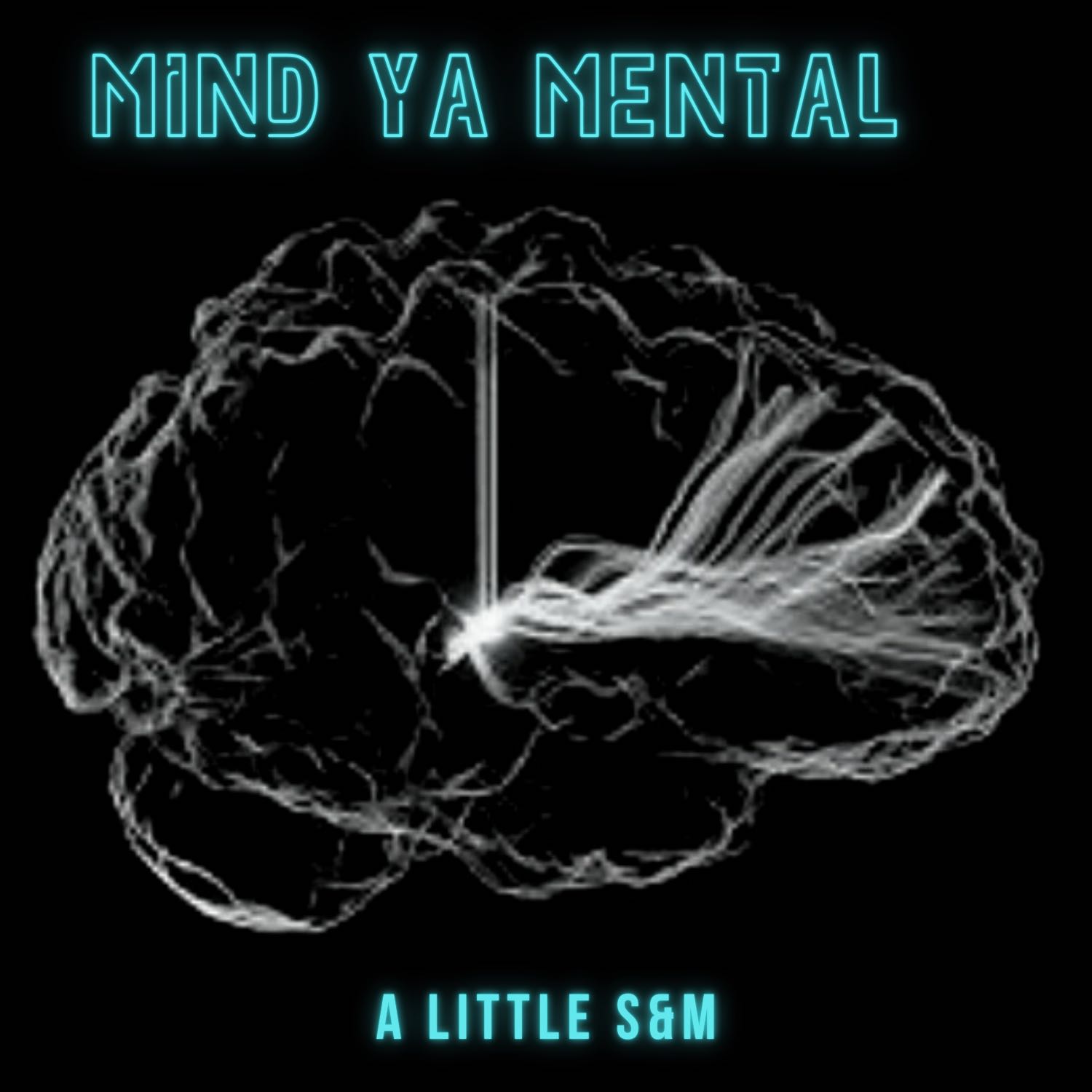 A Little S&M
