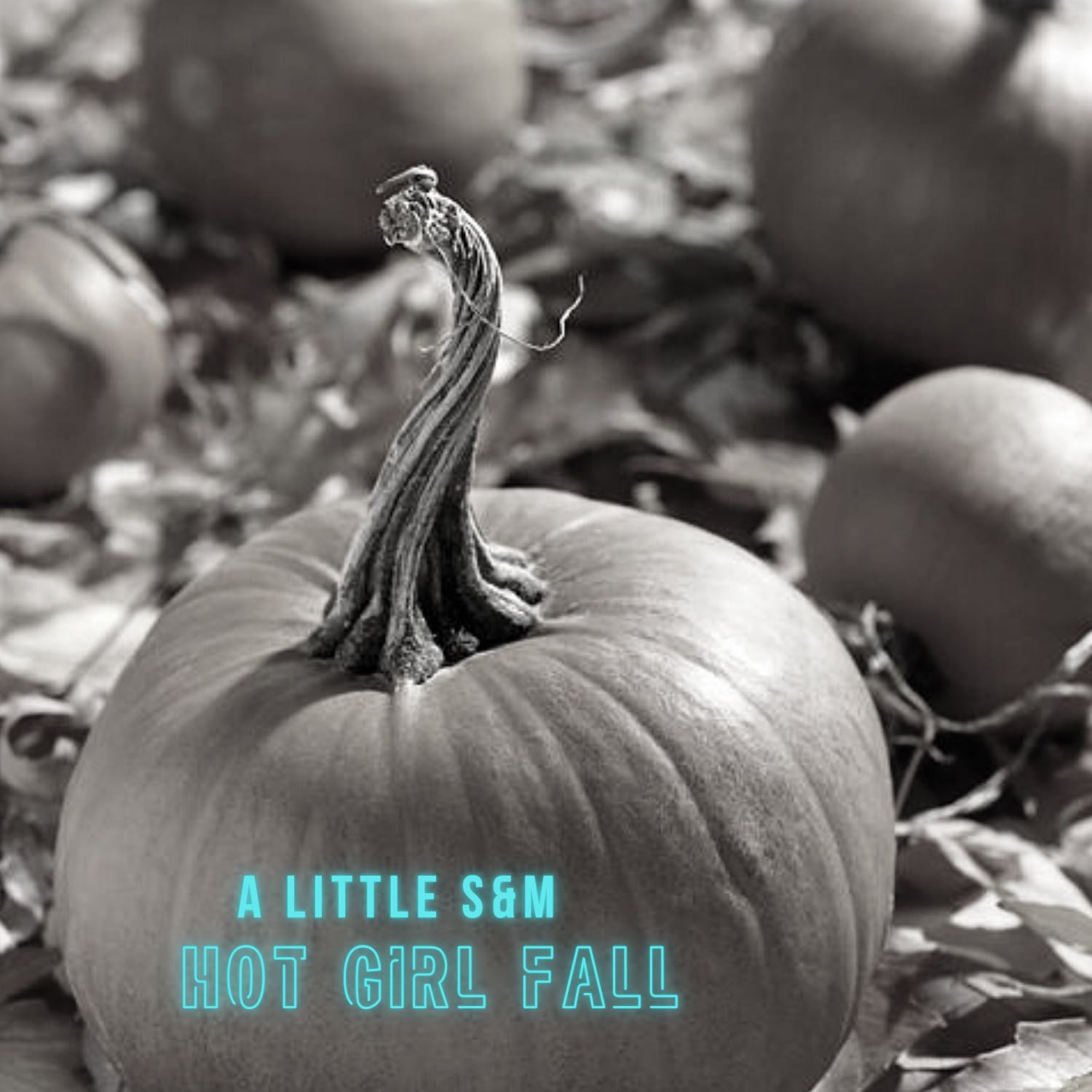 A Little S&M