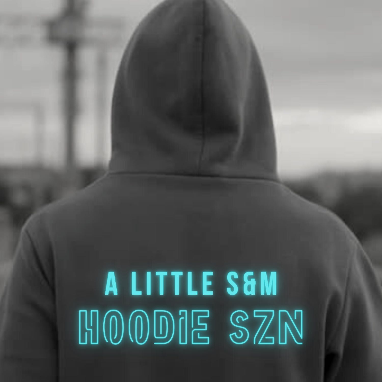 A Little S&M