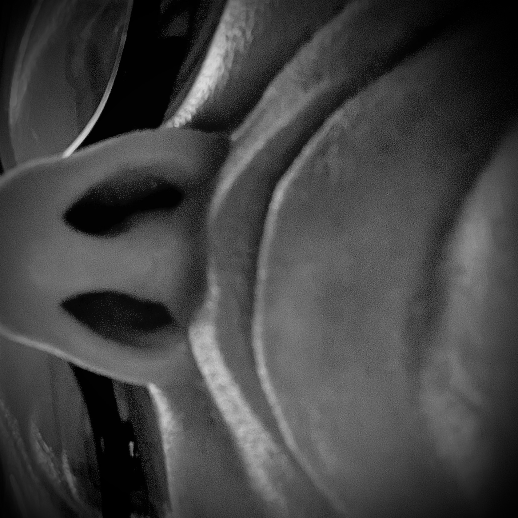 Day 470/106: Exposure and Obliques  episode artwork
