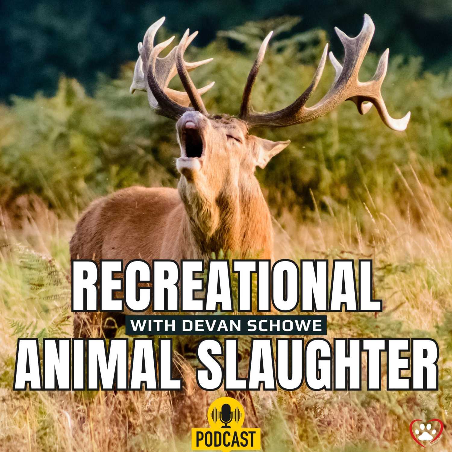 All About Animals