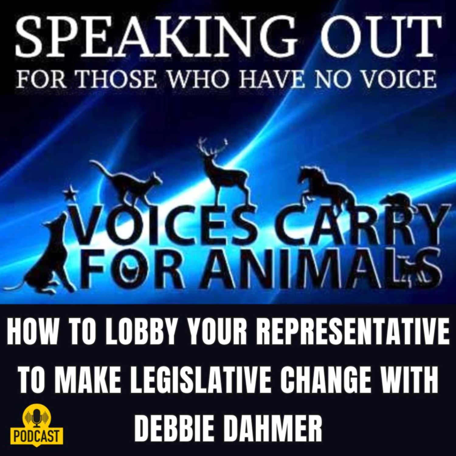 How to lobby your representative to make legislative change with Debbie Dahmer