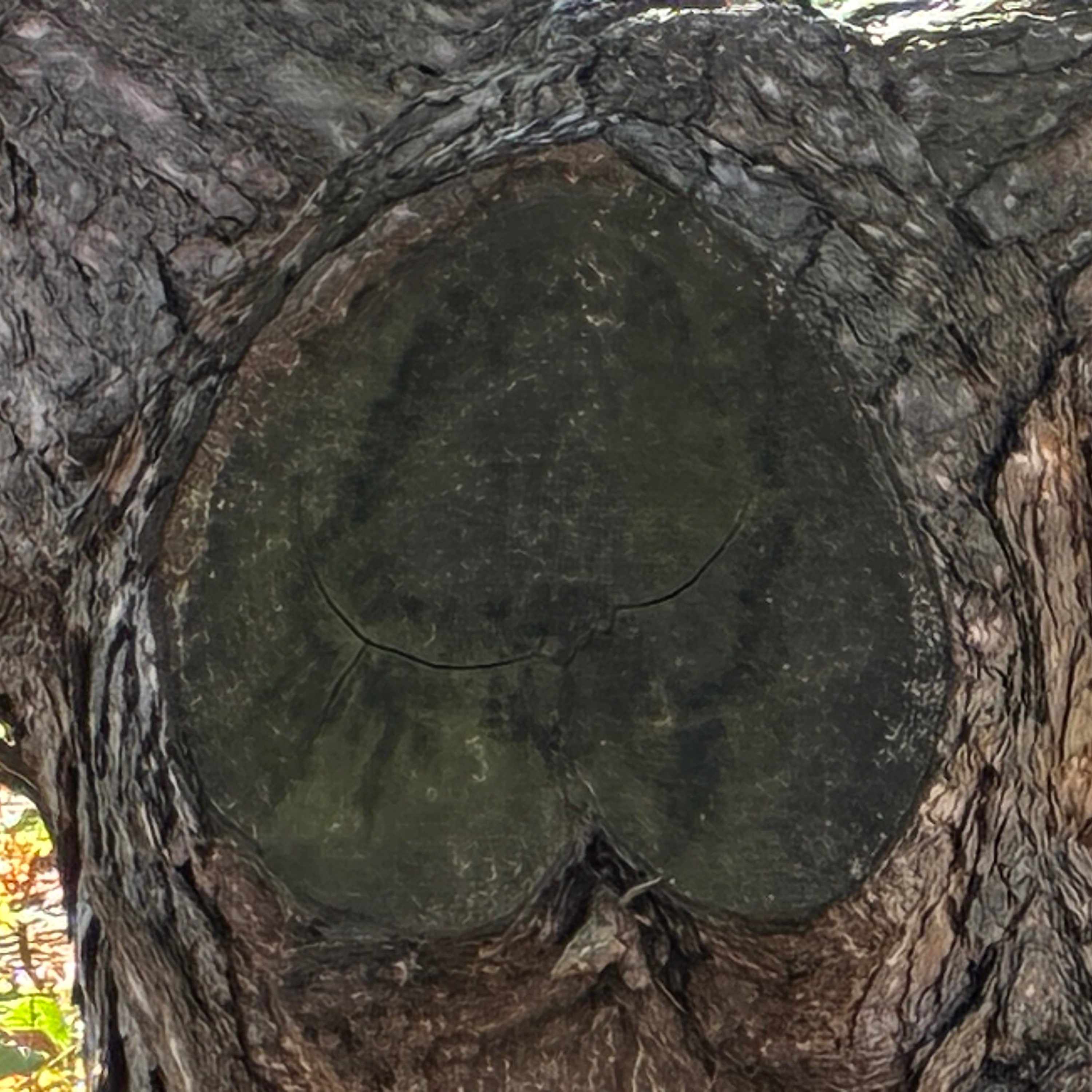 Allen Curtis Capital - The Dawn of Industry 5.0