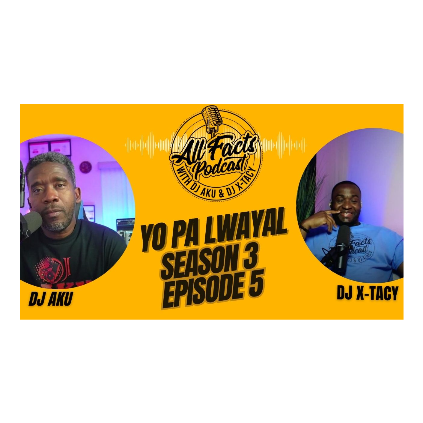 All Facts Podcast