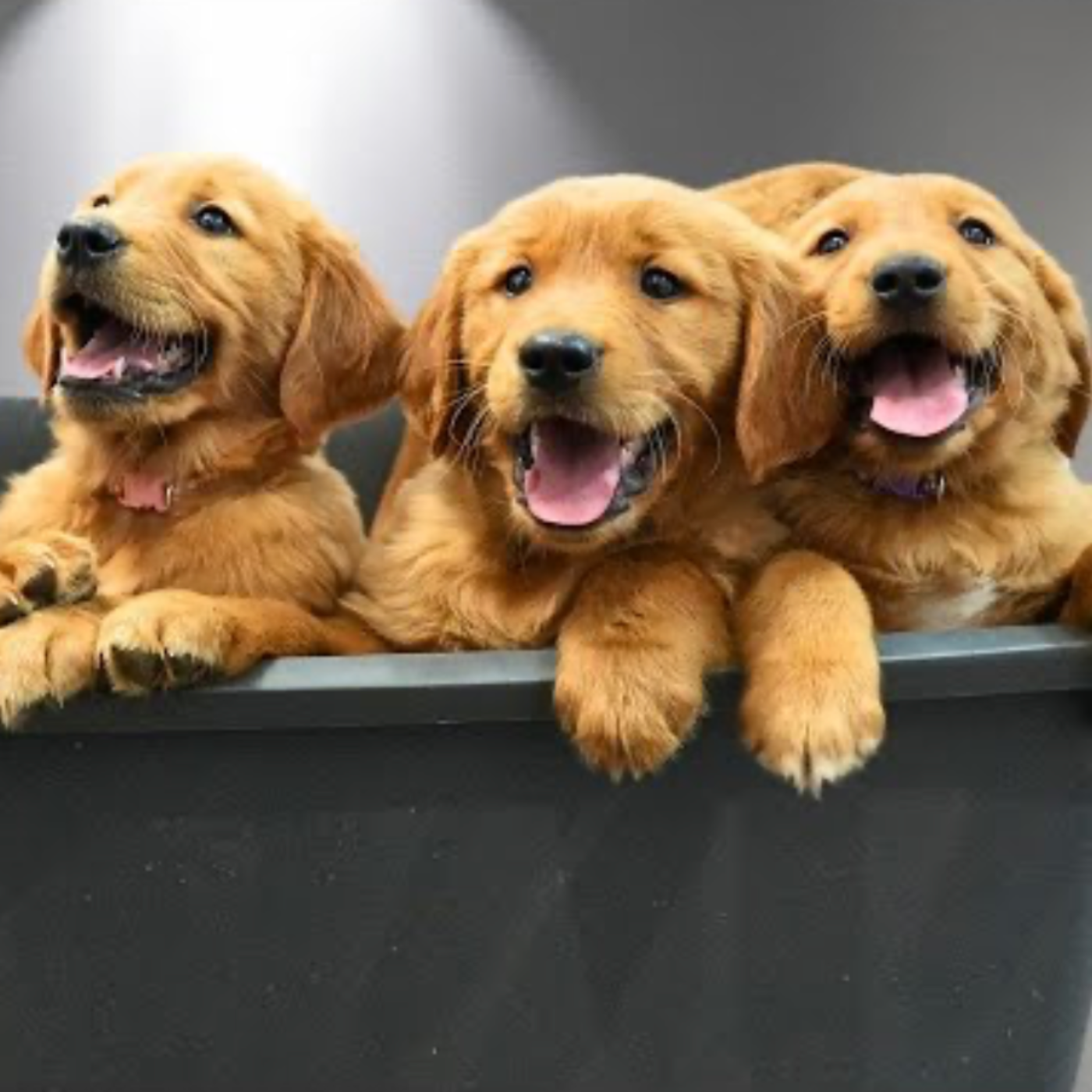 all of this is temporary