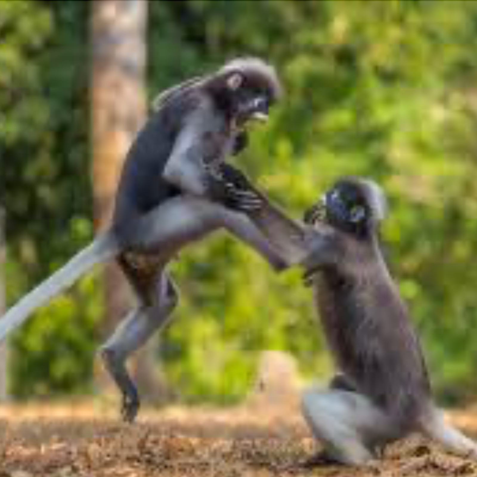 all of this is temporary