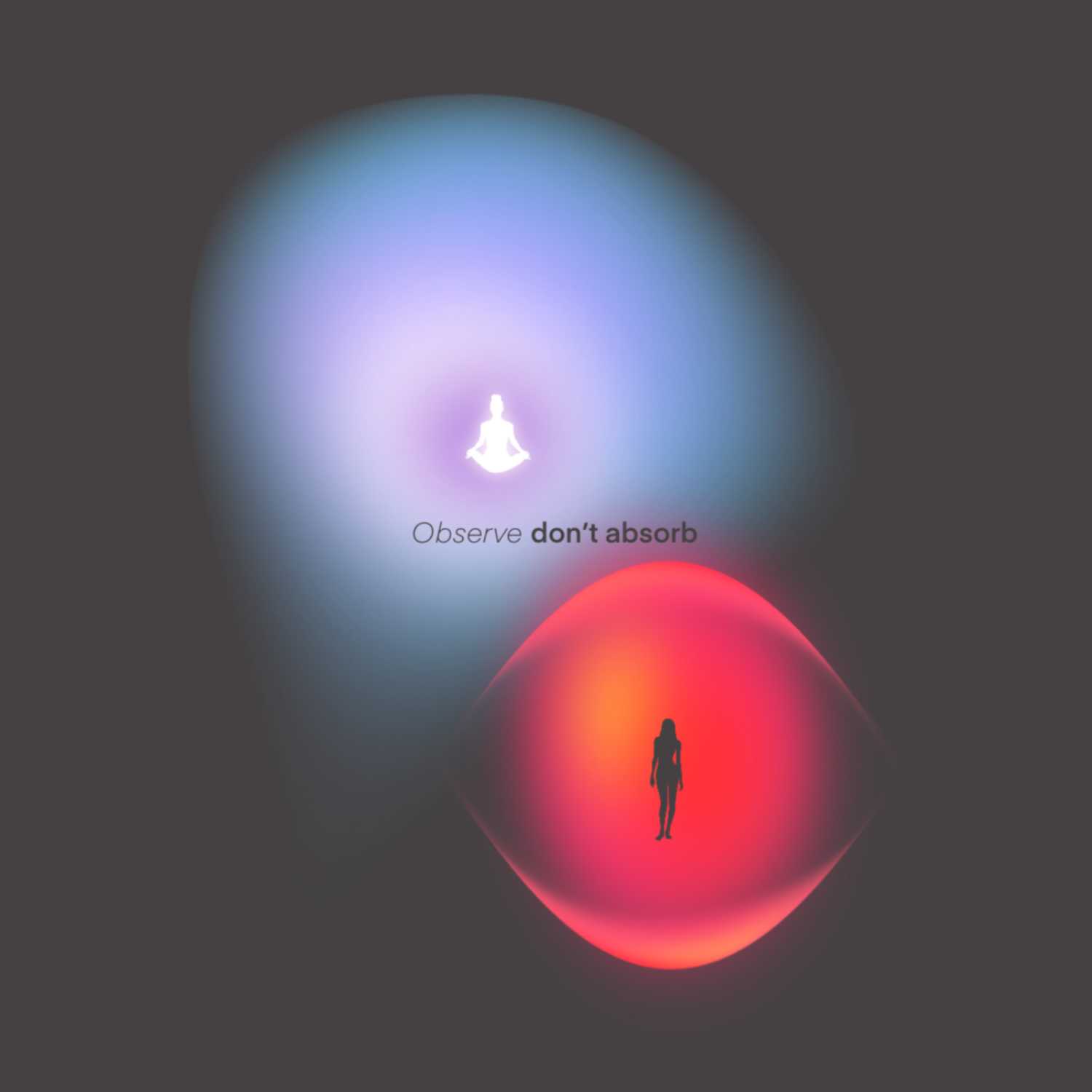 18. Observe Don't Absorb 18. Observe Don't Absorb