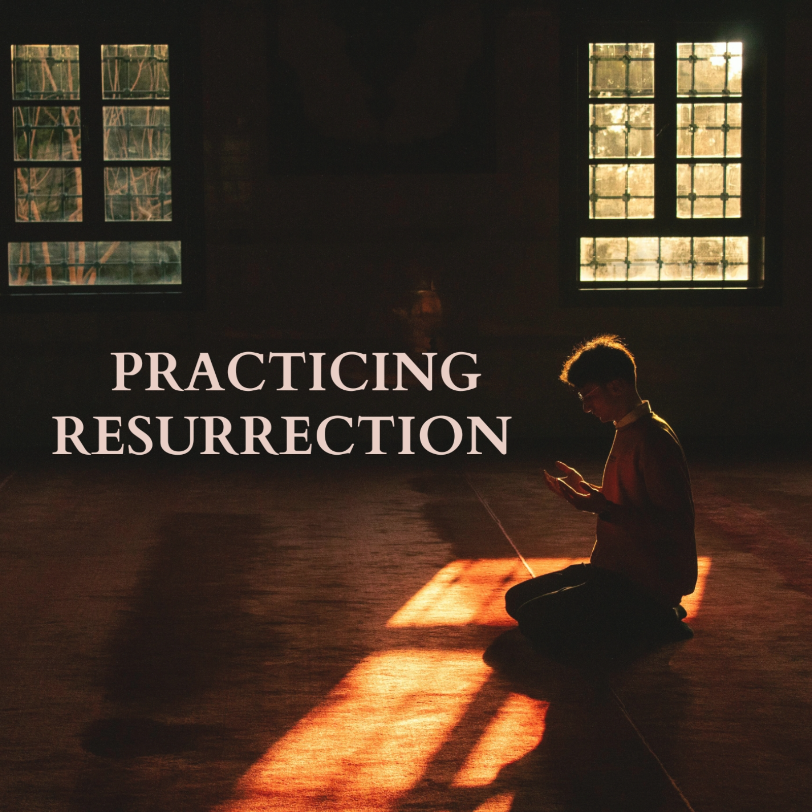 Kingdom Living - Practicing Resurrection (Revd David Kleinhans) episode artwork