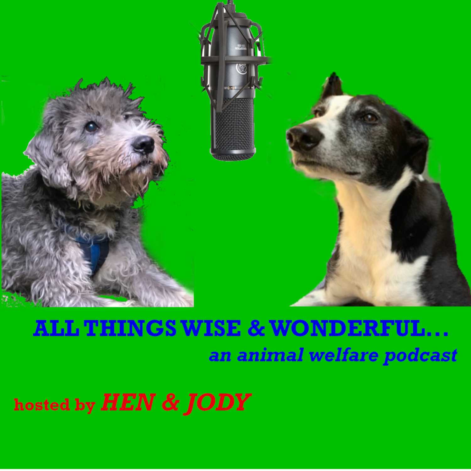 All Things Wise and Wonderful (an animal welfare podcast)