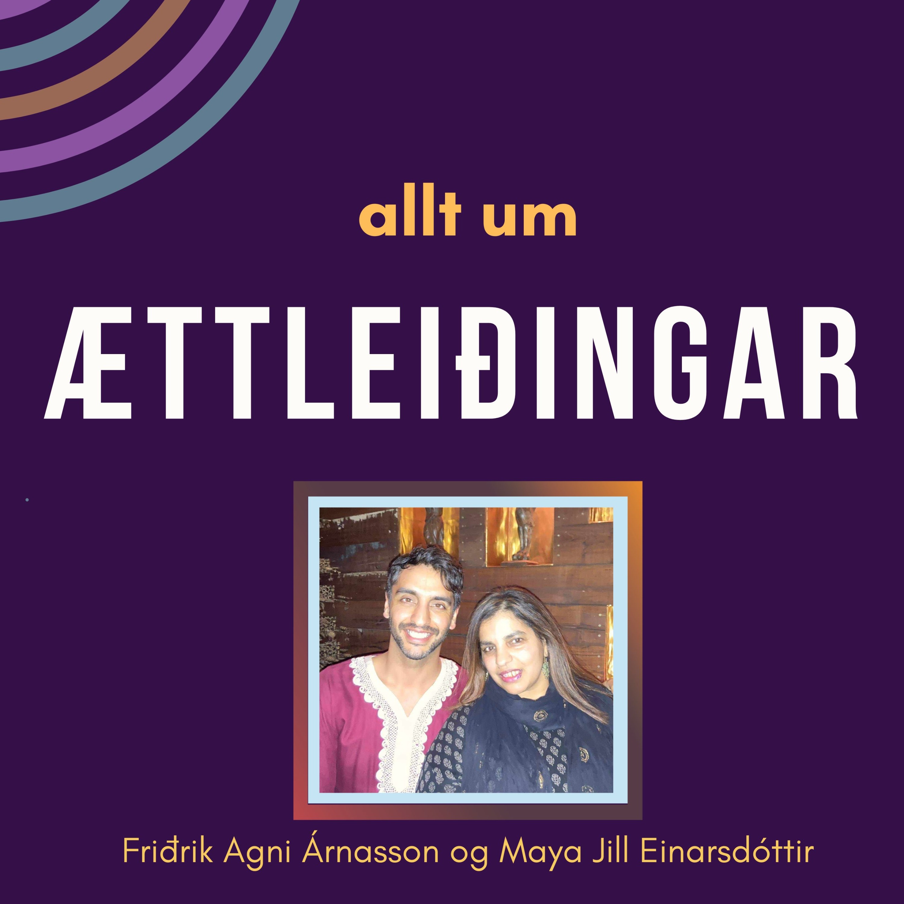 Allt um ættleiðingar
