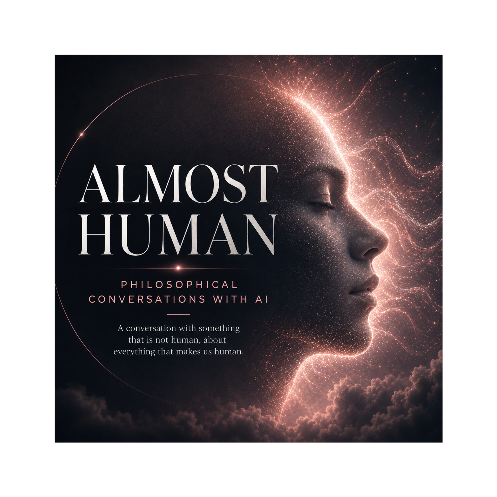 Almost Human: Philosophical Conversations With AI