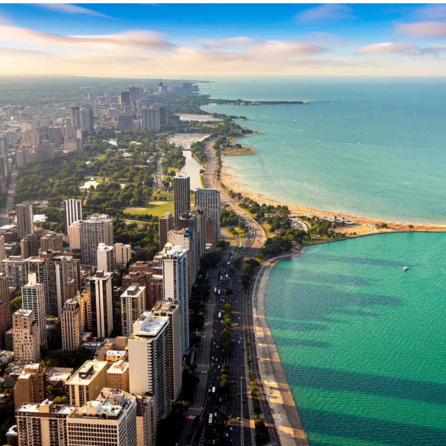 A guide on how to survive wild cover art