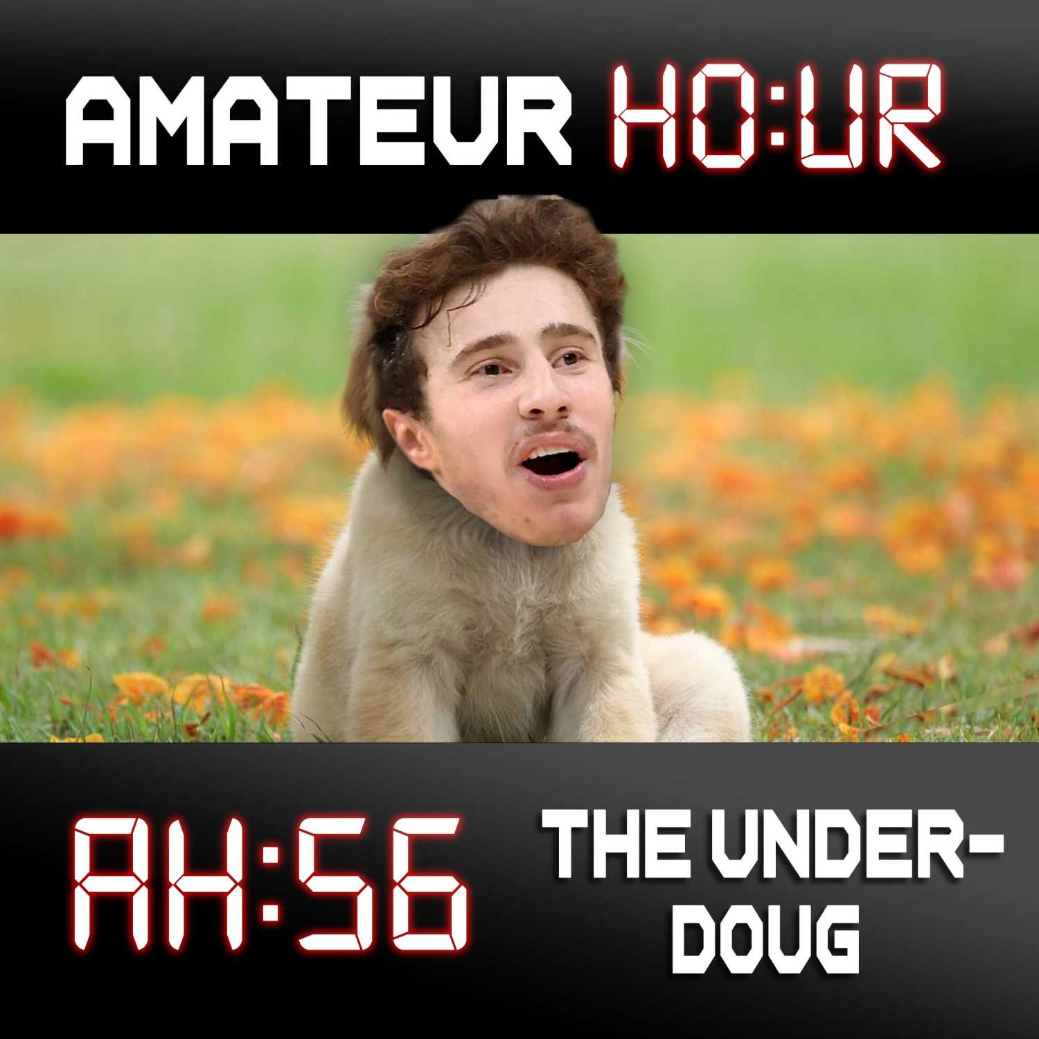 Amateur Hour