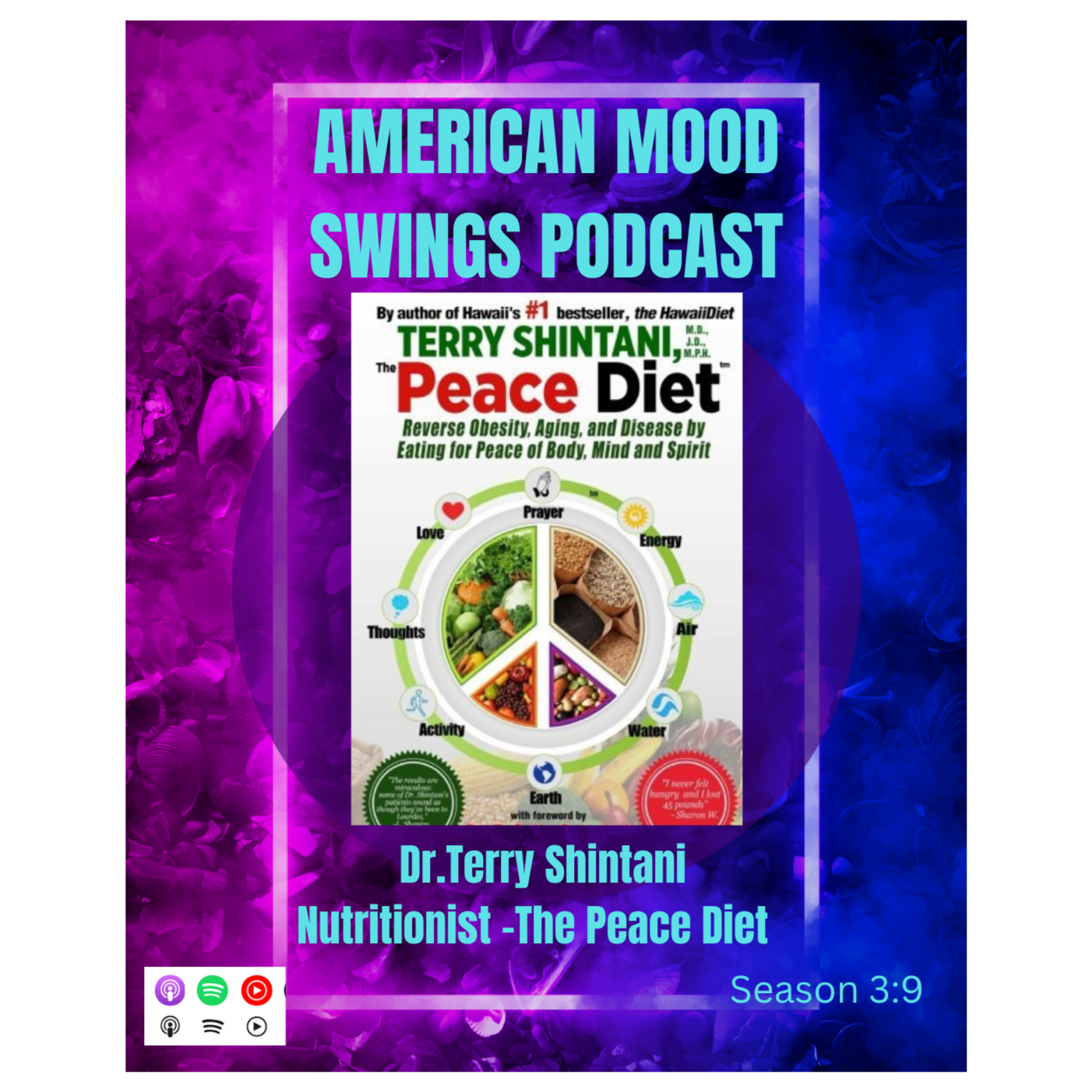 American Mood Swings